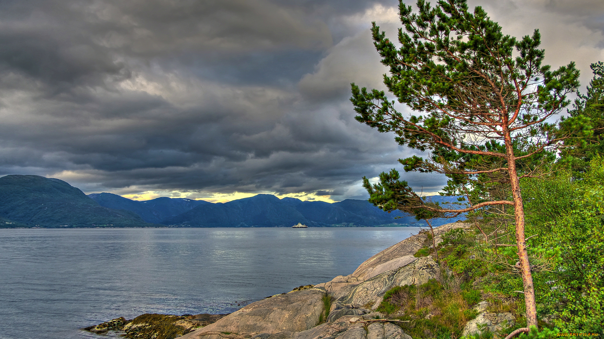 sognefjord, norway, природа, побережье, согне-фьорд, норвегия, дерево, сосна, горы, облака