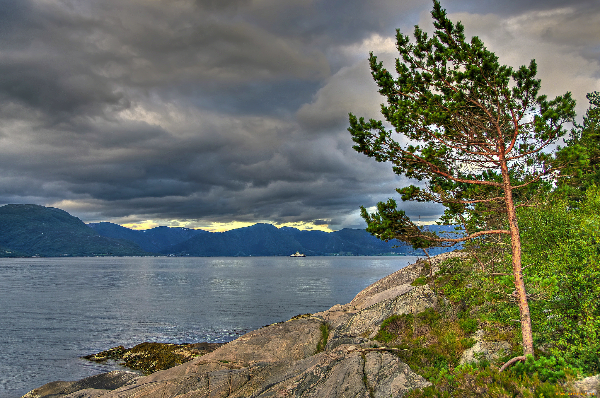 sognefjord, norway, природа, побережье, согне-фьорд, норвегия, дерево, сосна, горы, облака
