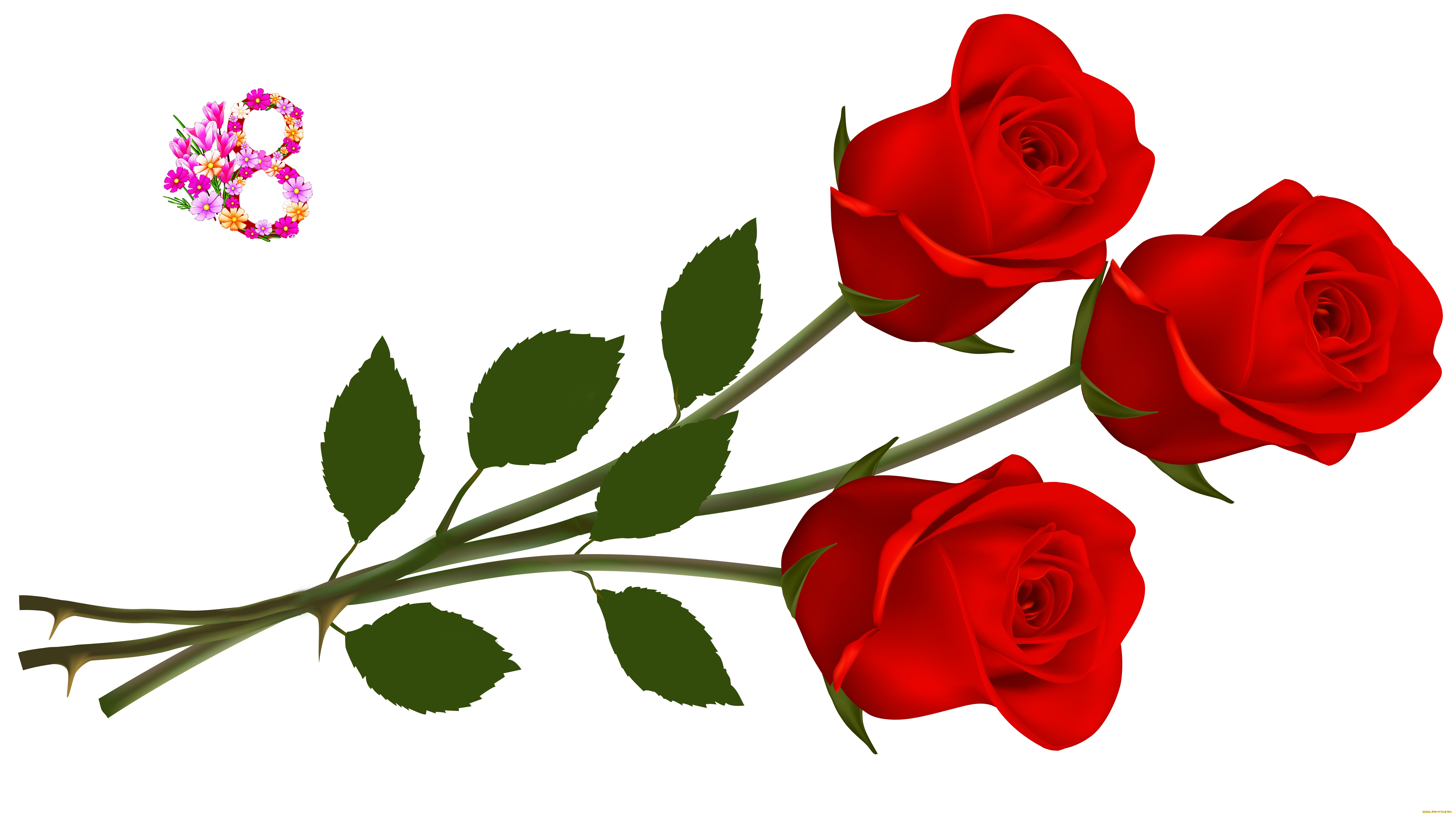 праздничные, международный, женский, день, -, 8, марта, праздник, фон, розы, цветы, флора