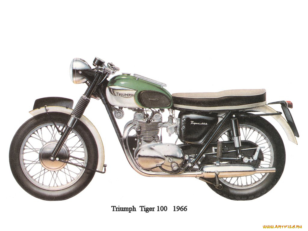 tryumph, tiger, 100, мотоциклы, triumph