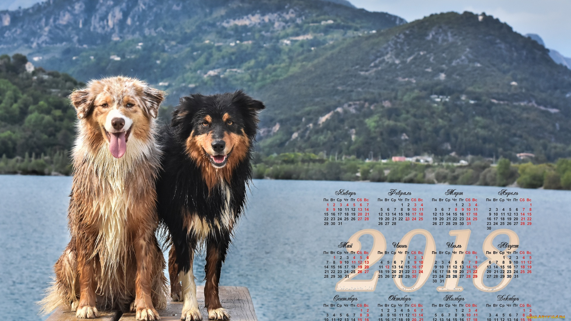 календари, животные, горы, собака, двое, водоем