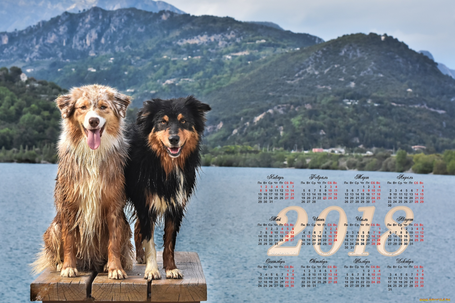 календари, животные, горы, собака, двое, водоем