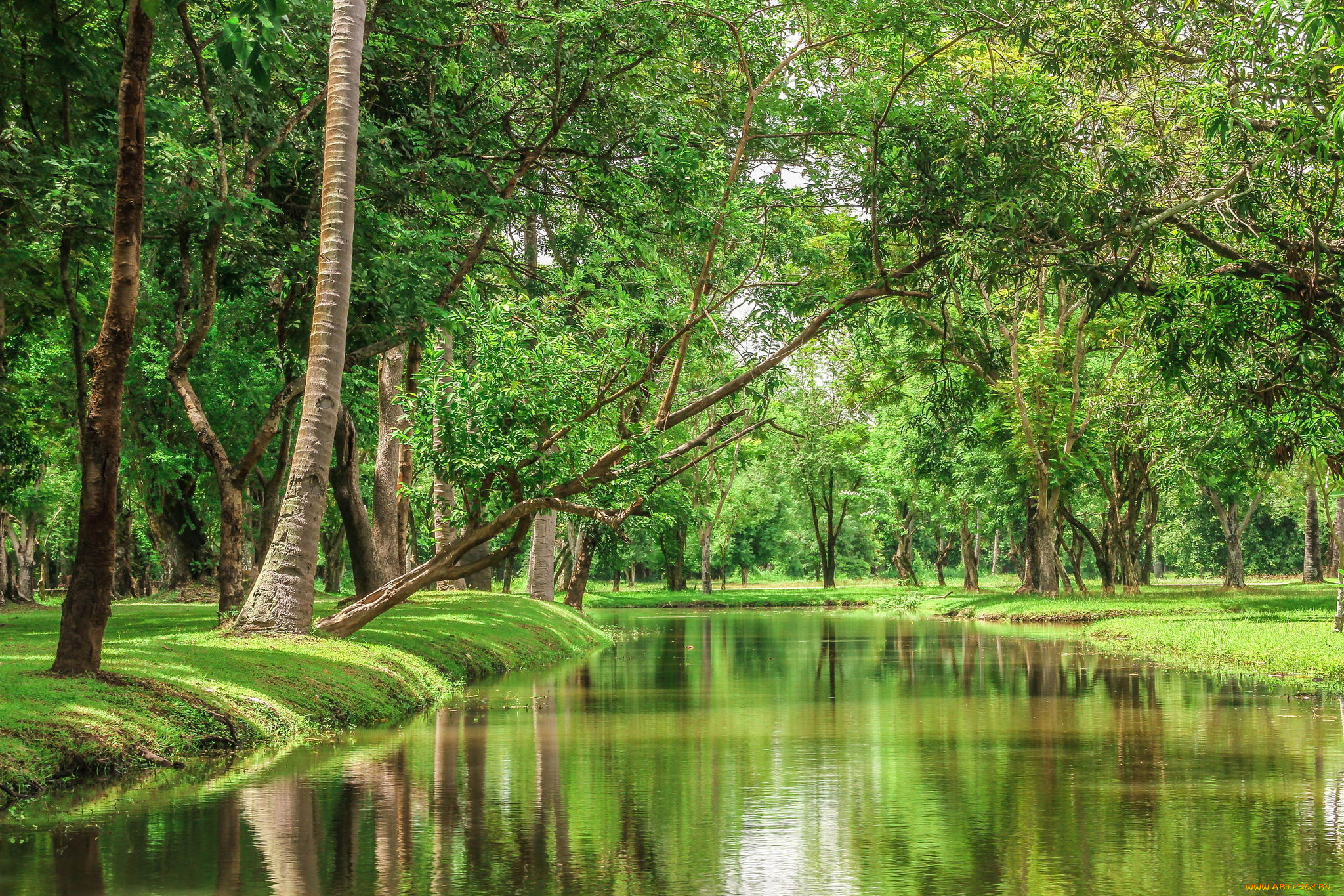 природа, реки, озера, таиланд, красота, деревья, река, пейзаж