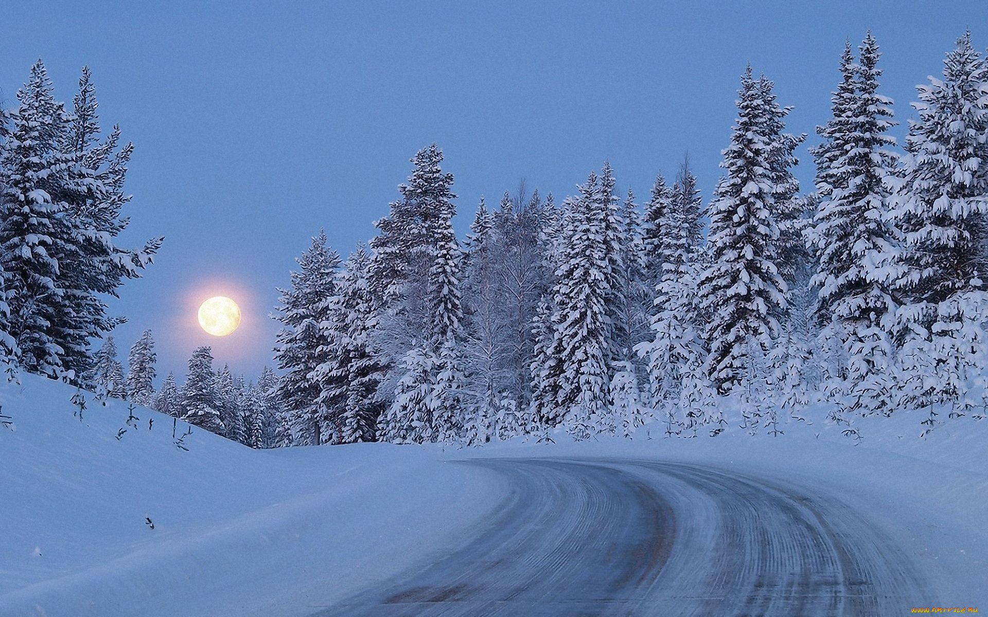 природа, зима, снег, дорога, лес, деревья, сумерки, луна