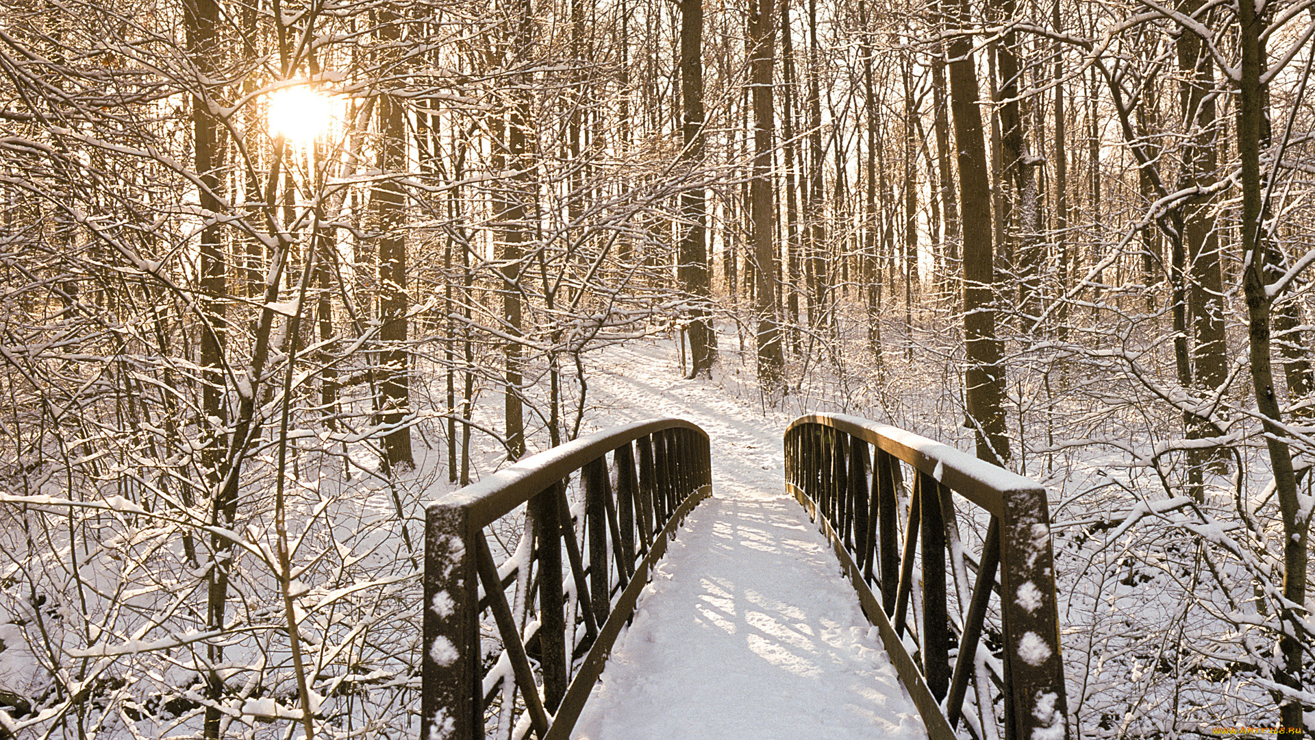 природа, зима, лес, снег, мост