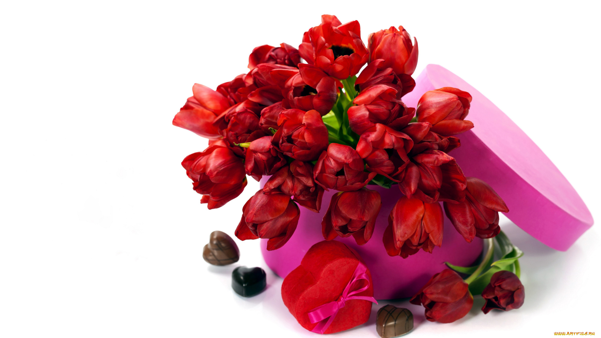 цветы, тюльпаны, розовый, красный, конфеты