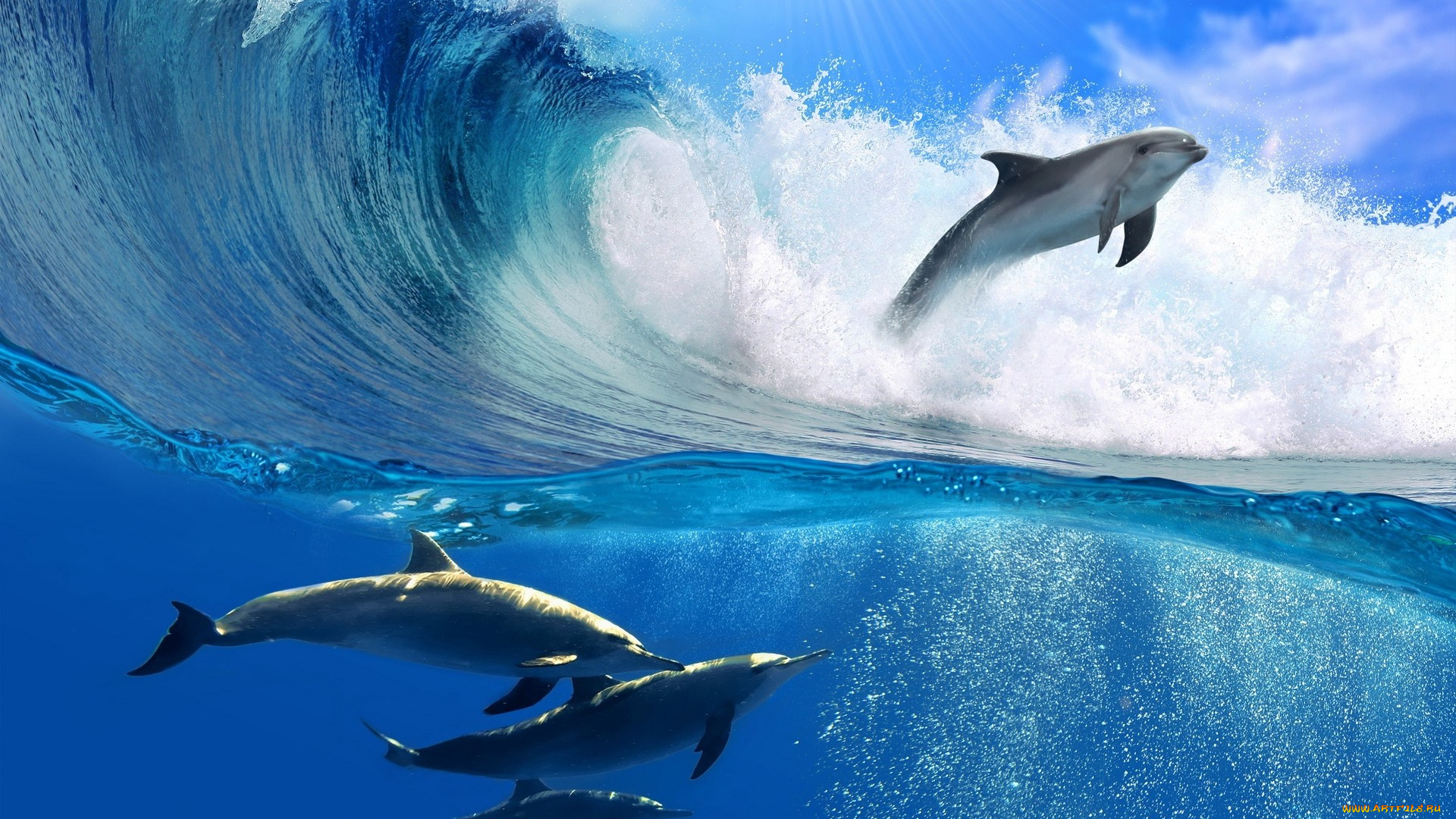 животные, дельфины, море, океан, вода, волна