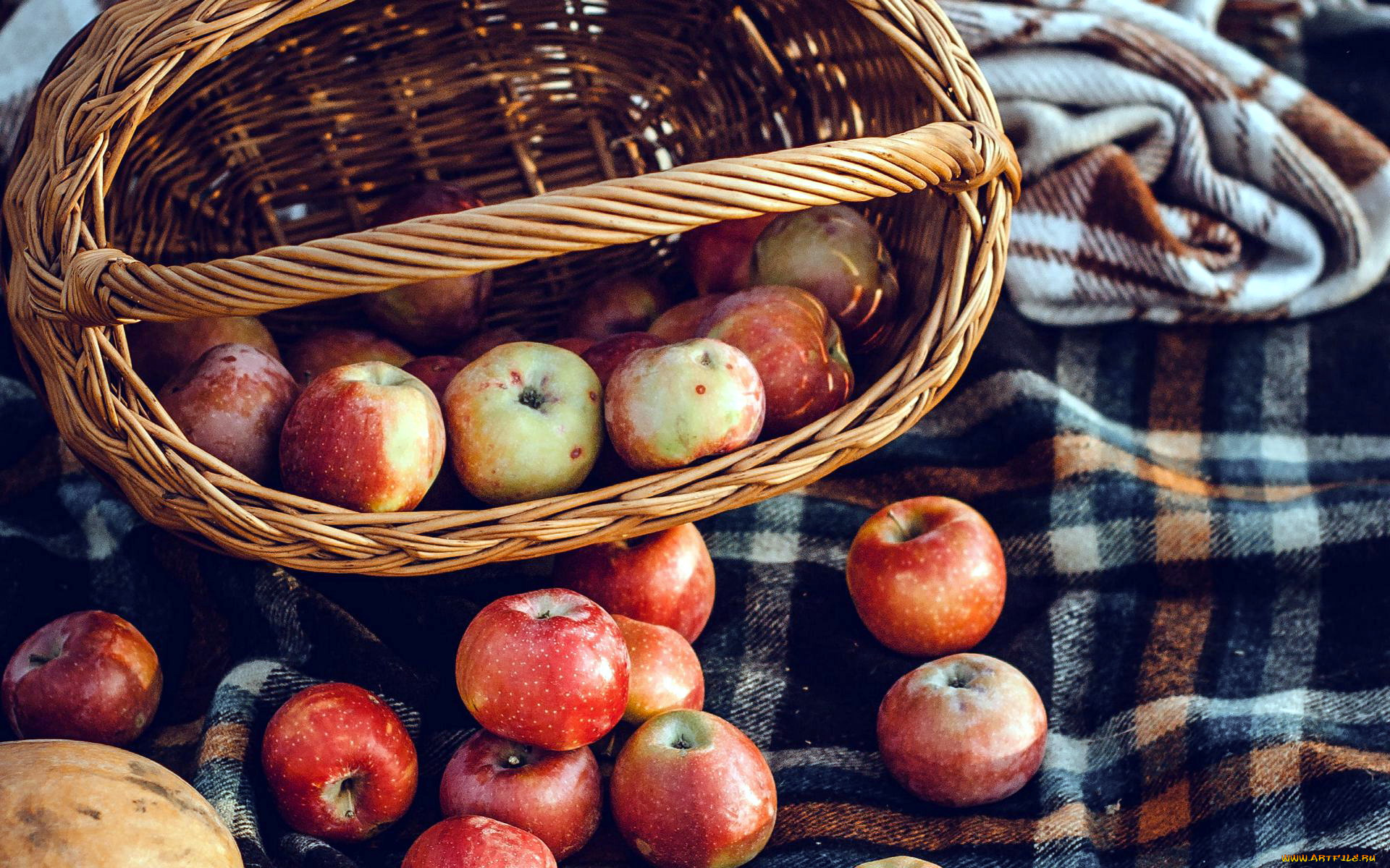еда, яблоки, корзинка, урожай