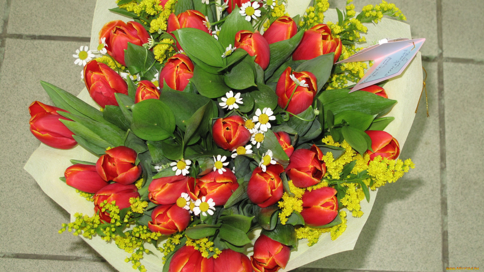 цветы, букеты, композиции, букет, тюльпаны