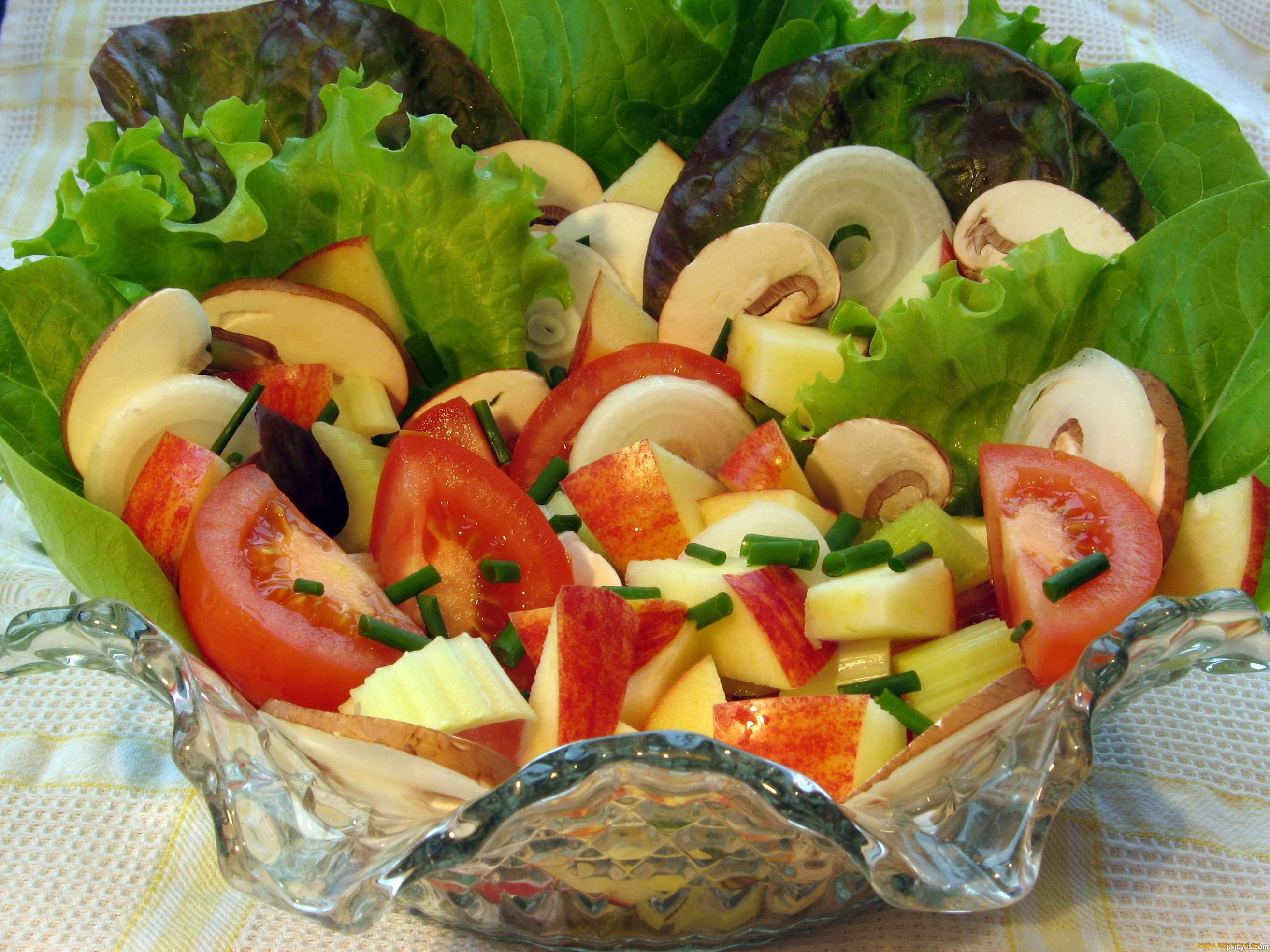 салат, nicoise, еда, салаты, закуски, зелень, овощи, помидоры, томаты