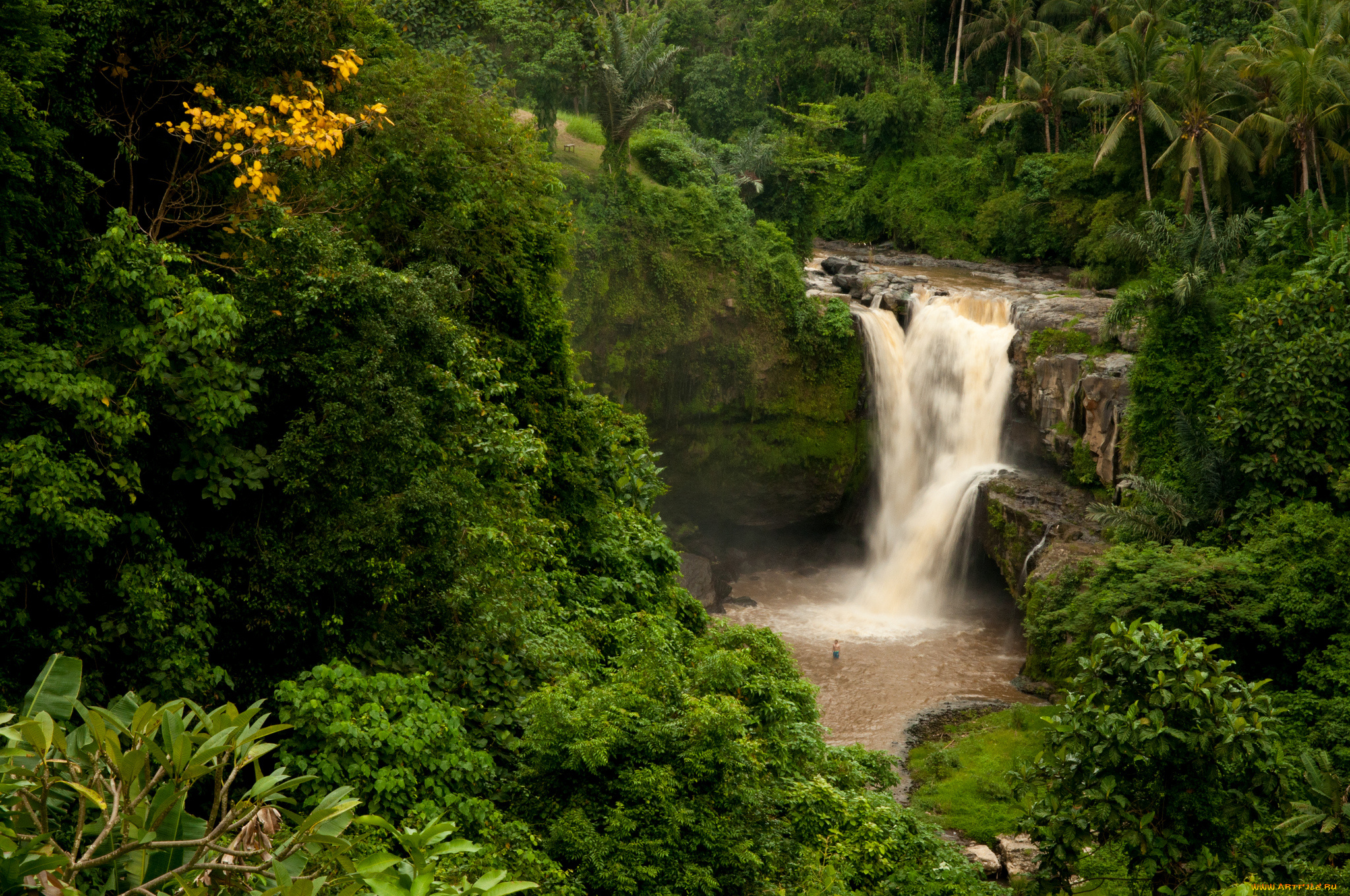 tegenungan, waterfall, bali, indonesiа, природа, водопады, бали, индонезия, джунгли, лес, пальмы, скала
