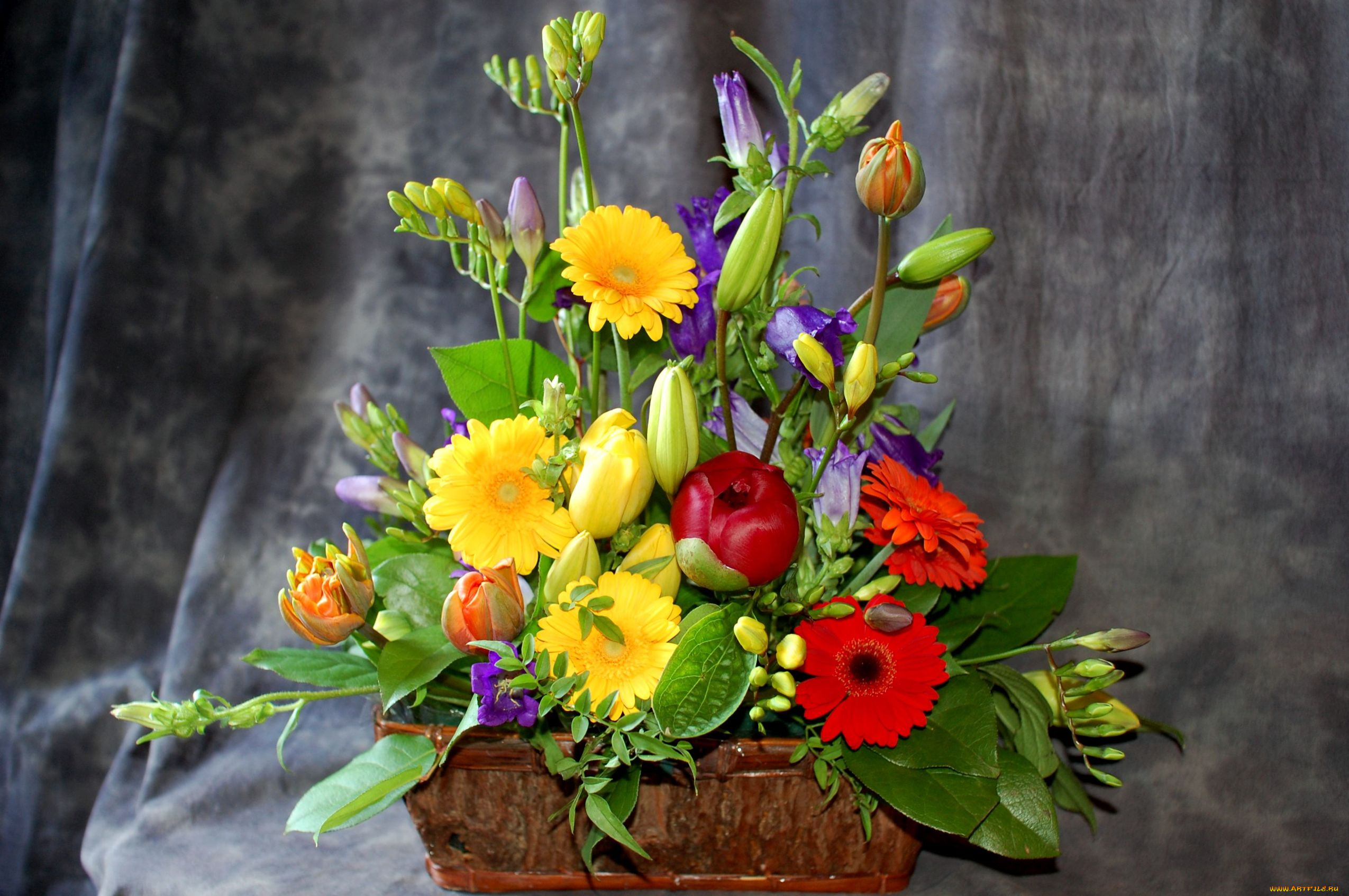 цветы, букеты, композиции, пион, тюльпаны, колокольчики, герберы
