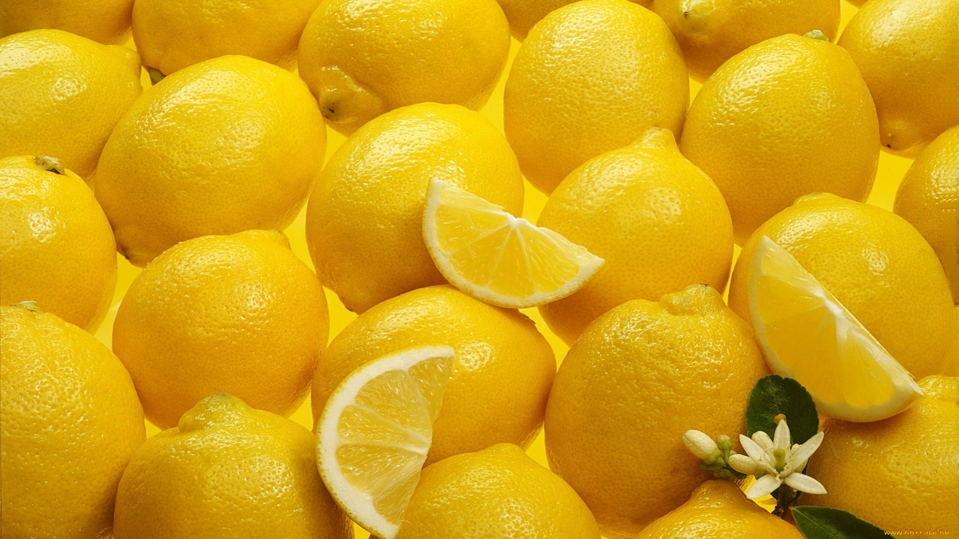 еда, цитрусы, лимоны, много, ломтики, жёлтый