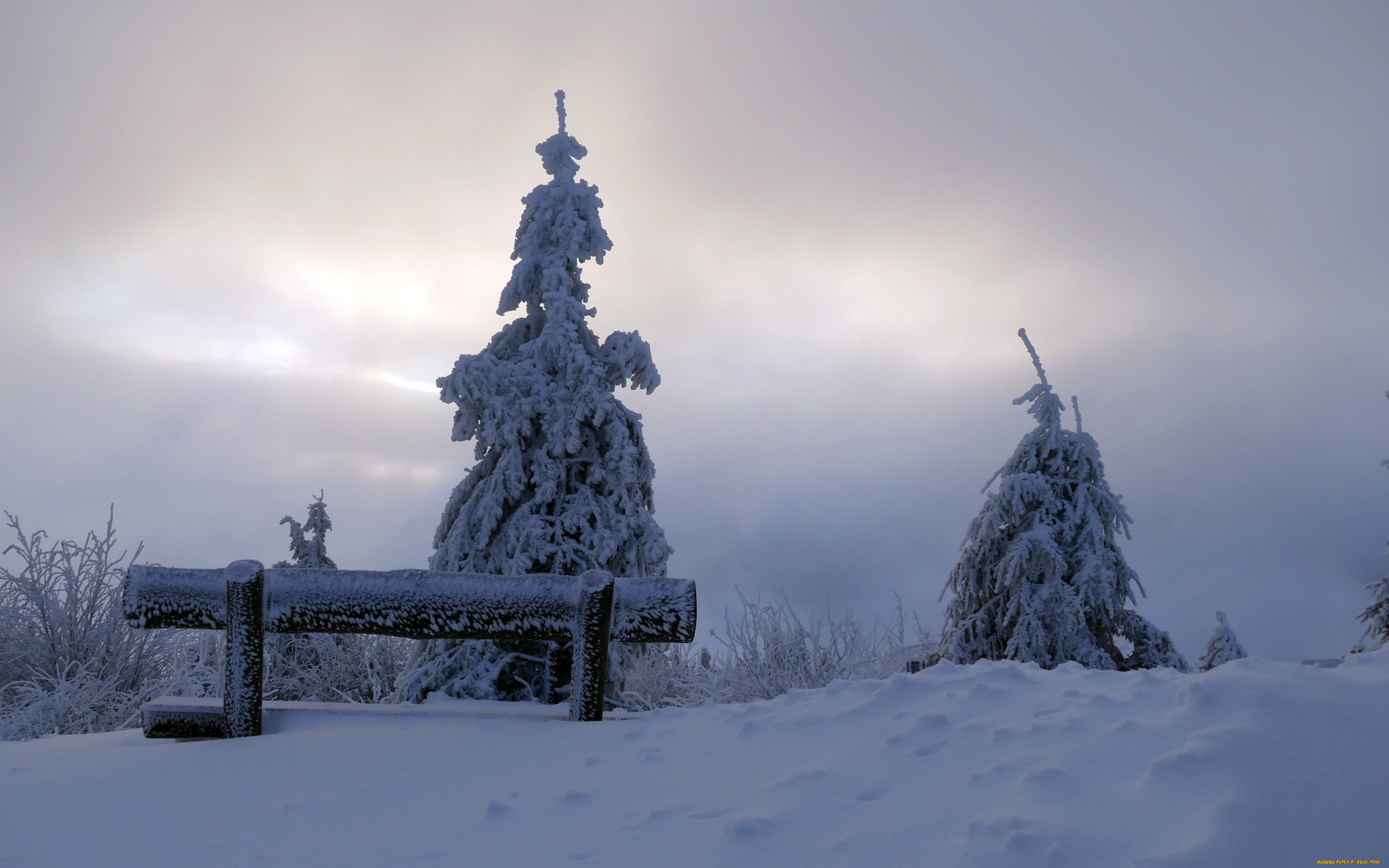 природа, зима, дерево, утро, скамья, снег