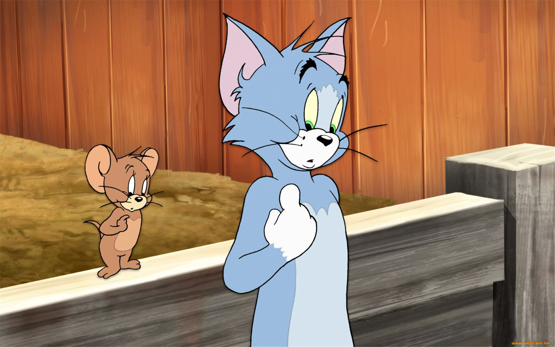 мультфильмы, tom, and, jerry, мышь, кот, забор