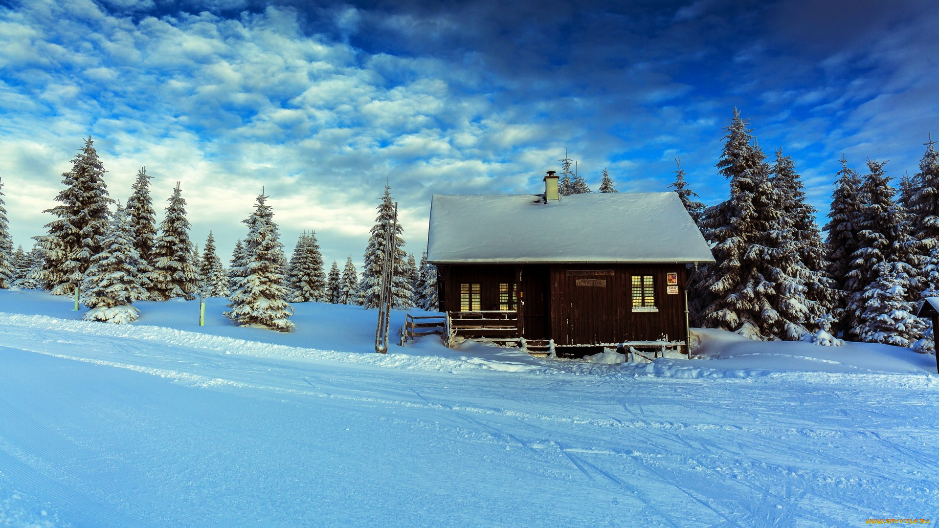 Чехия, природа, зима, дом, облака, снег, ели
