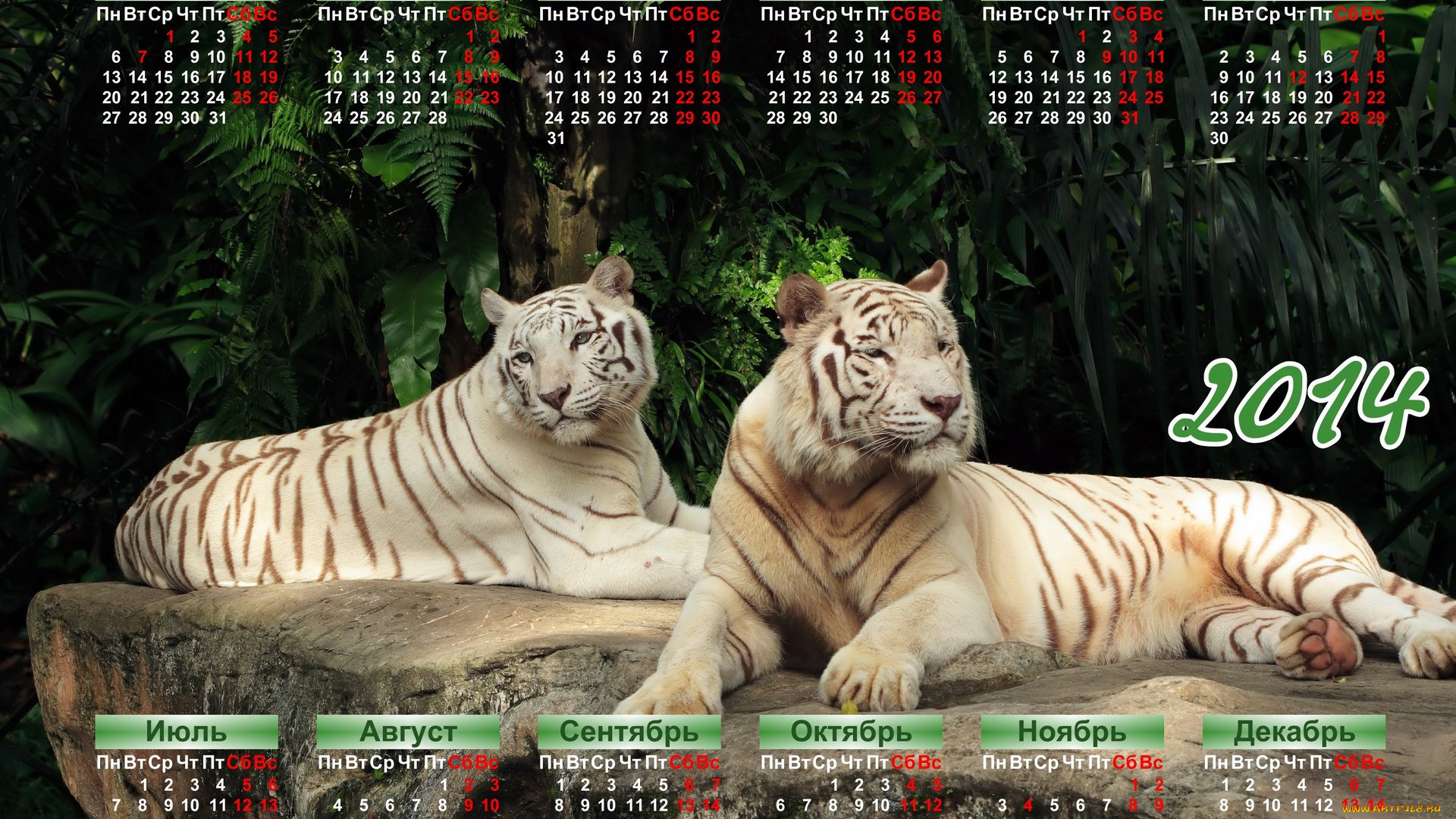 календари, животные, тигры