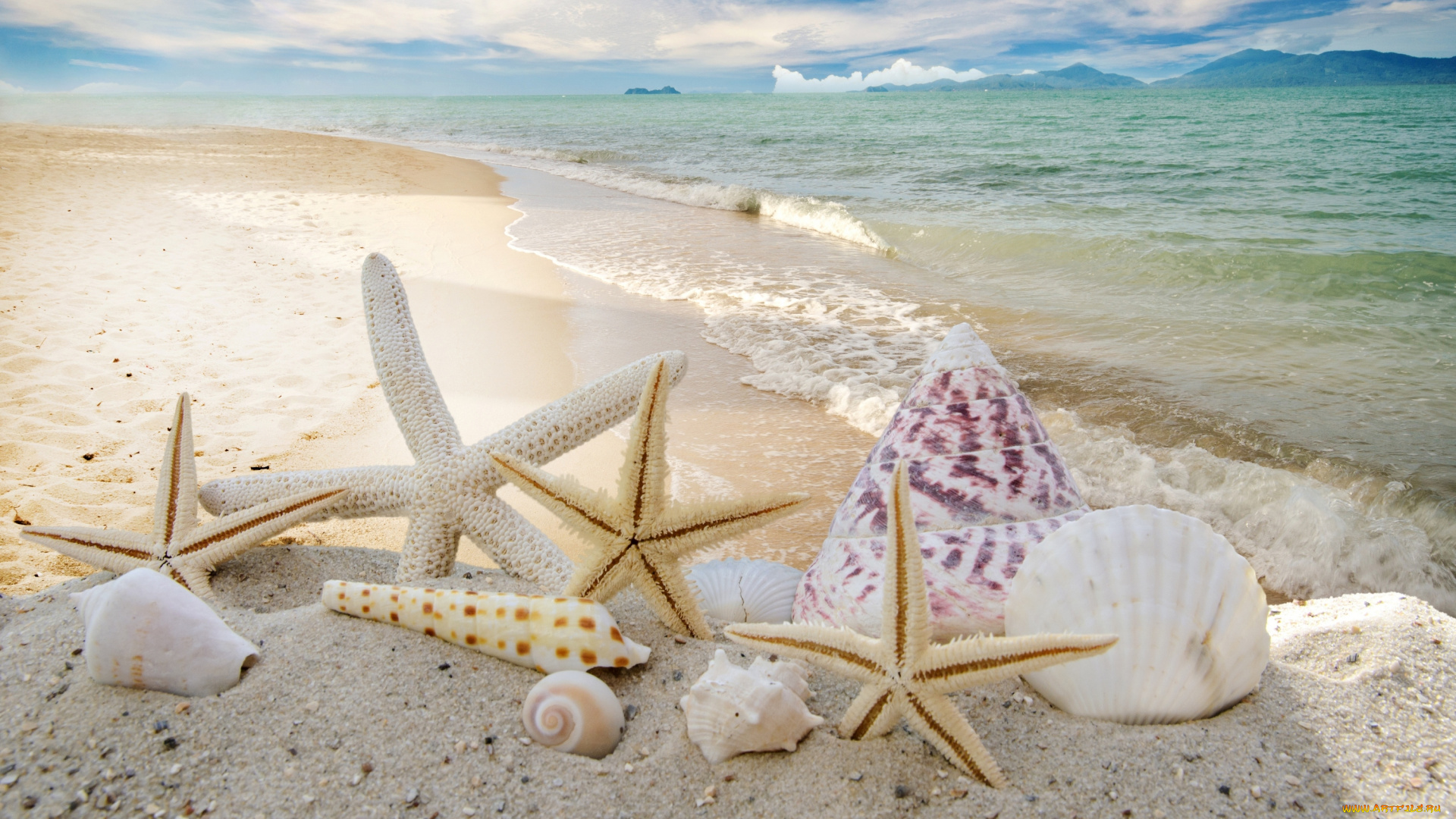 разное, ракушки, , кораллы, , декоративные, и, spa-камни, starfishes, seashells, пляж, summer, звезды, sky, sand, песок, солнце, море, sunshine, sea, beach