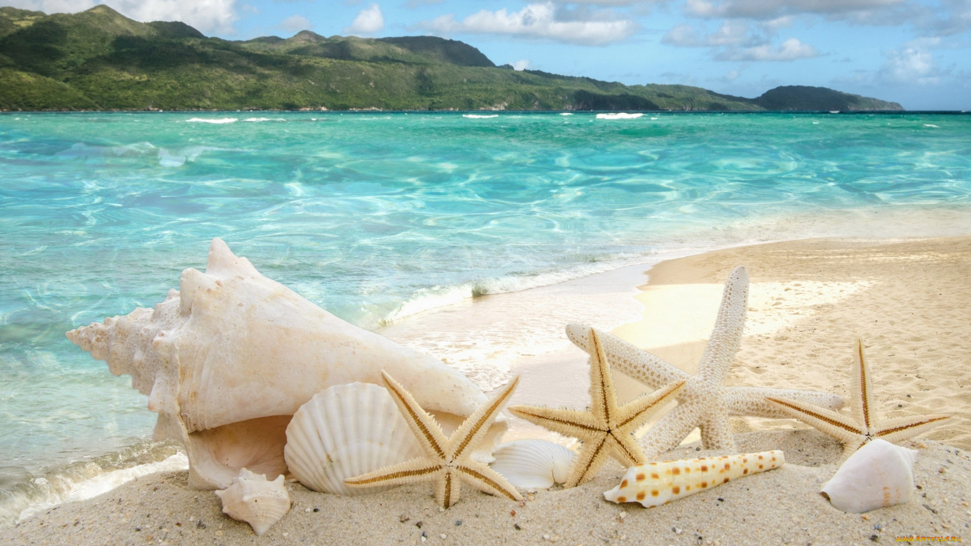 разное, ракушки, , кораллы, , декоративные, и, spa-камни, звезды, пляж, море, sea, sand, summer, песок, sunshine, beach, starfishes, seashells, солнце