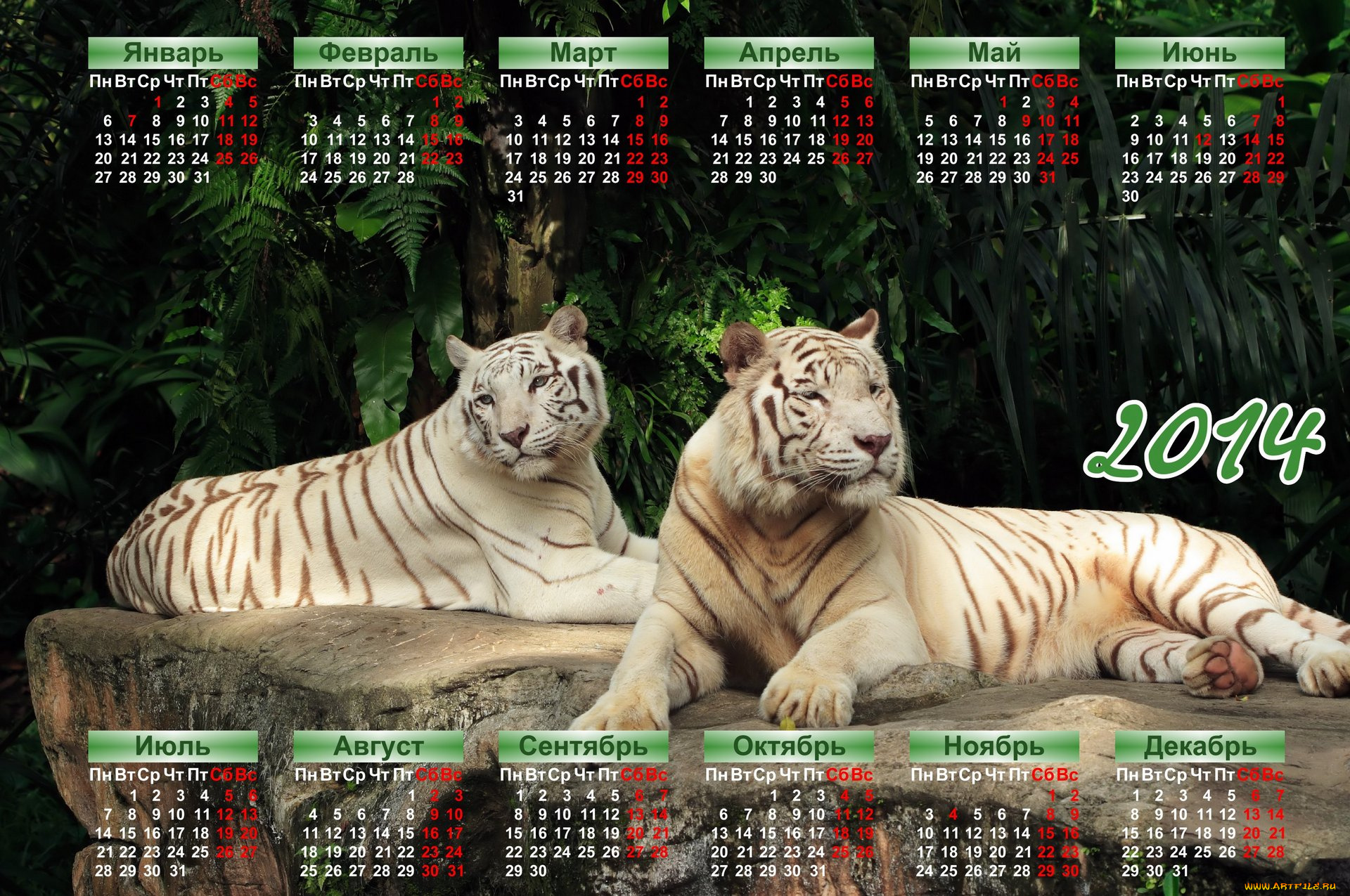 календари, животные, тигры