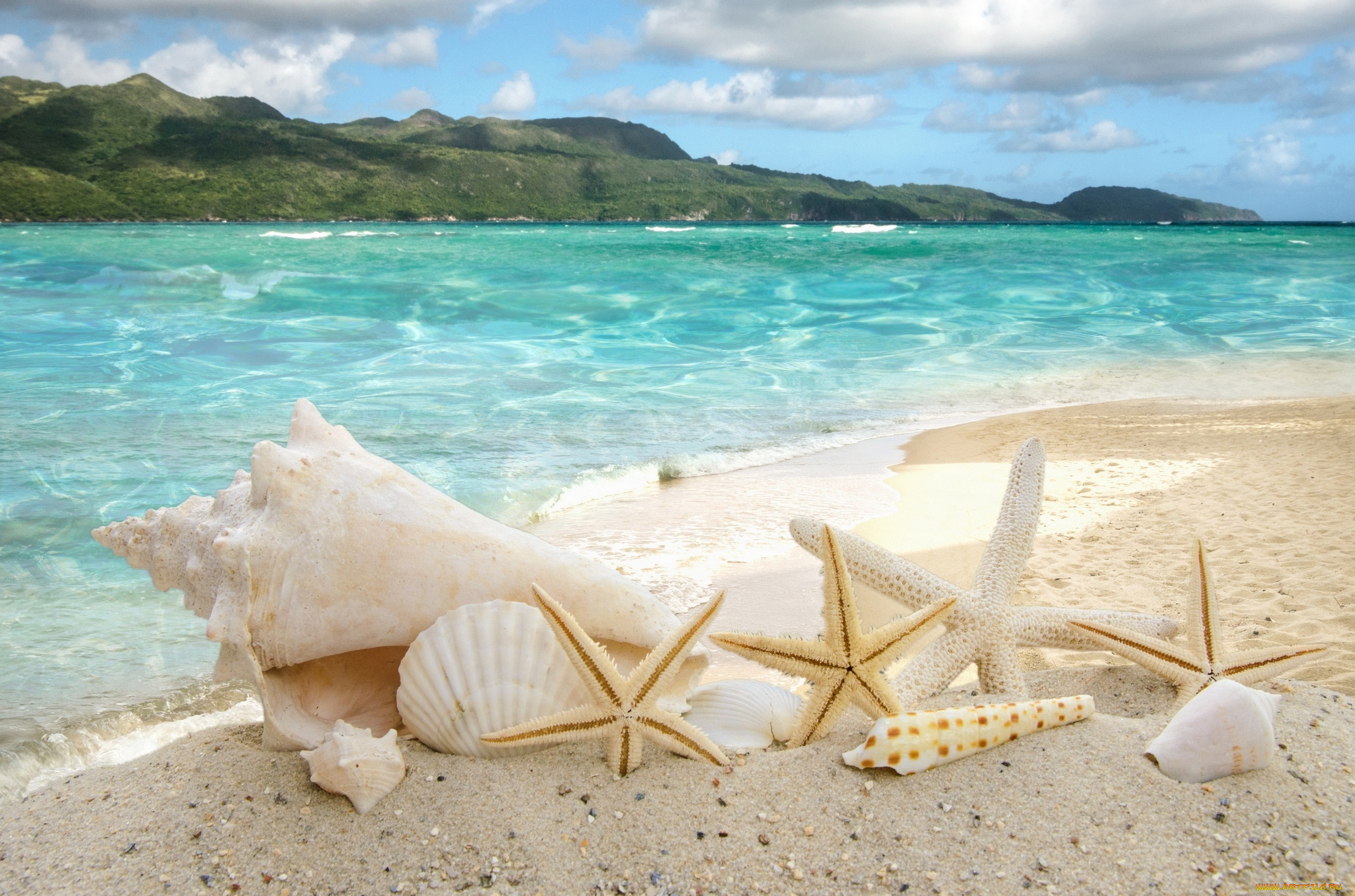 разное, ракушки, , кораллы, , декоративные, и, spa-камни, звезды, пляж, море, sea, sand, summer, песок, sunshine, beach, starfishes, seashells, солнце