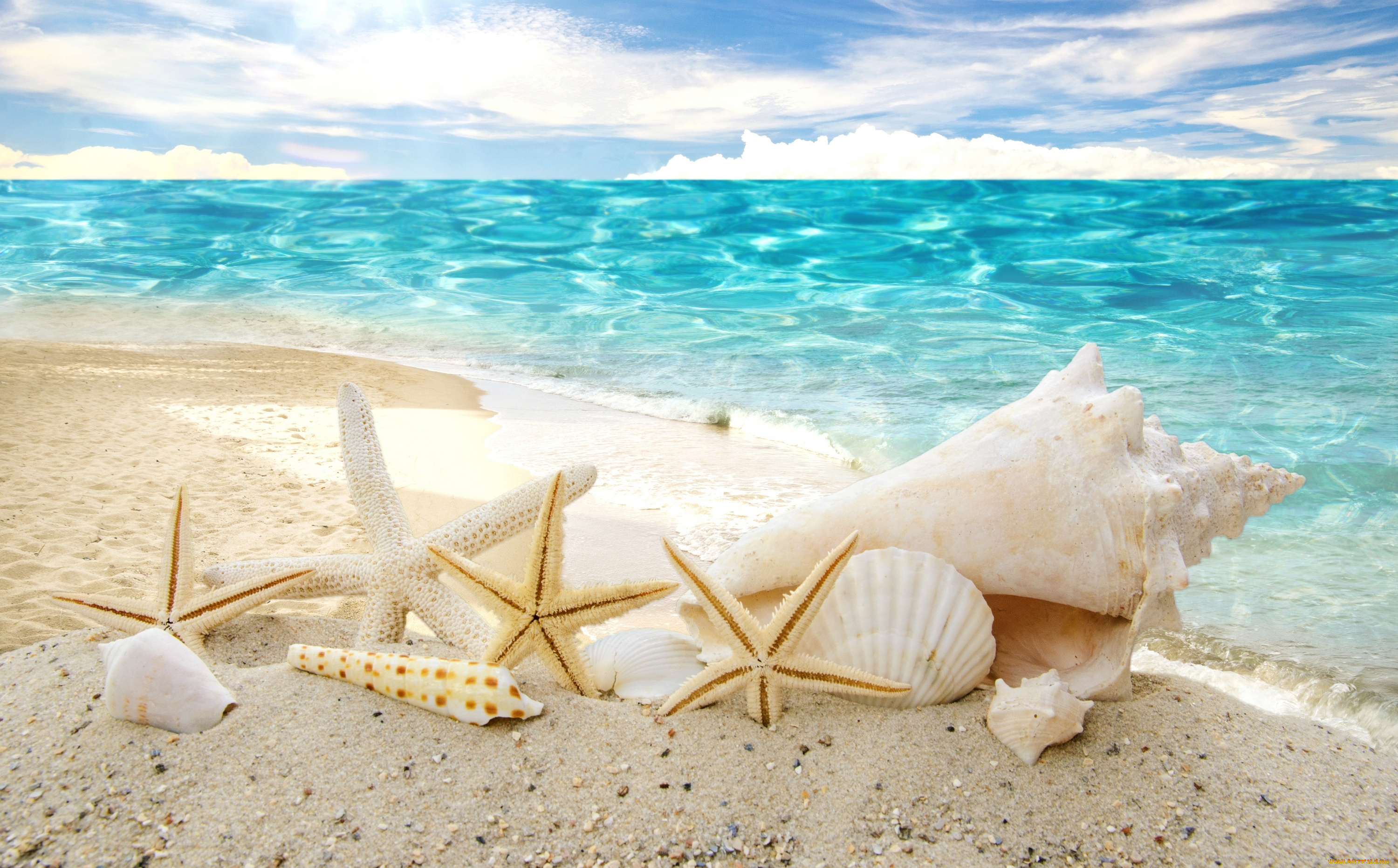 разное, ракушки, , кораллы, , декоративные, и, spa-камни, summer, море, песок, sunshine, солнце, sea, beach, seashells, starfishes, пляж, звезды, sky, sand