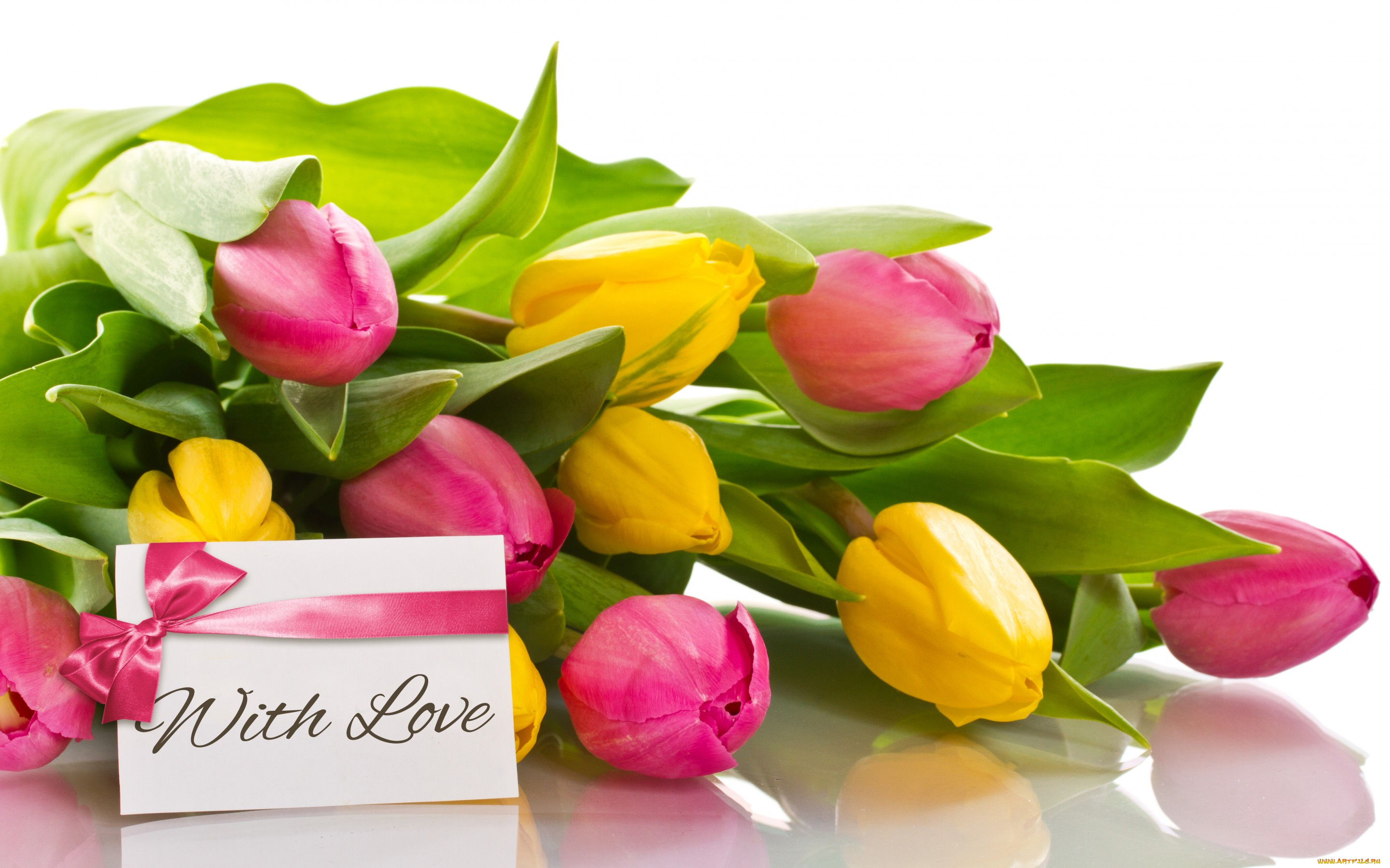 цветы, тюльпаны, with, love, romantic, tulips, flowers, букет, бант, любовь