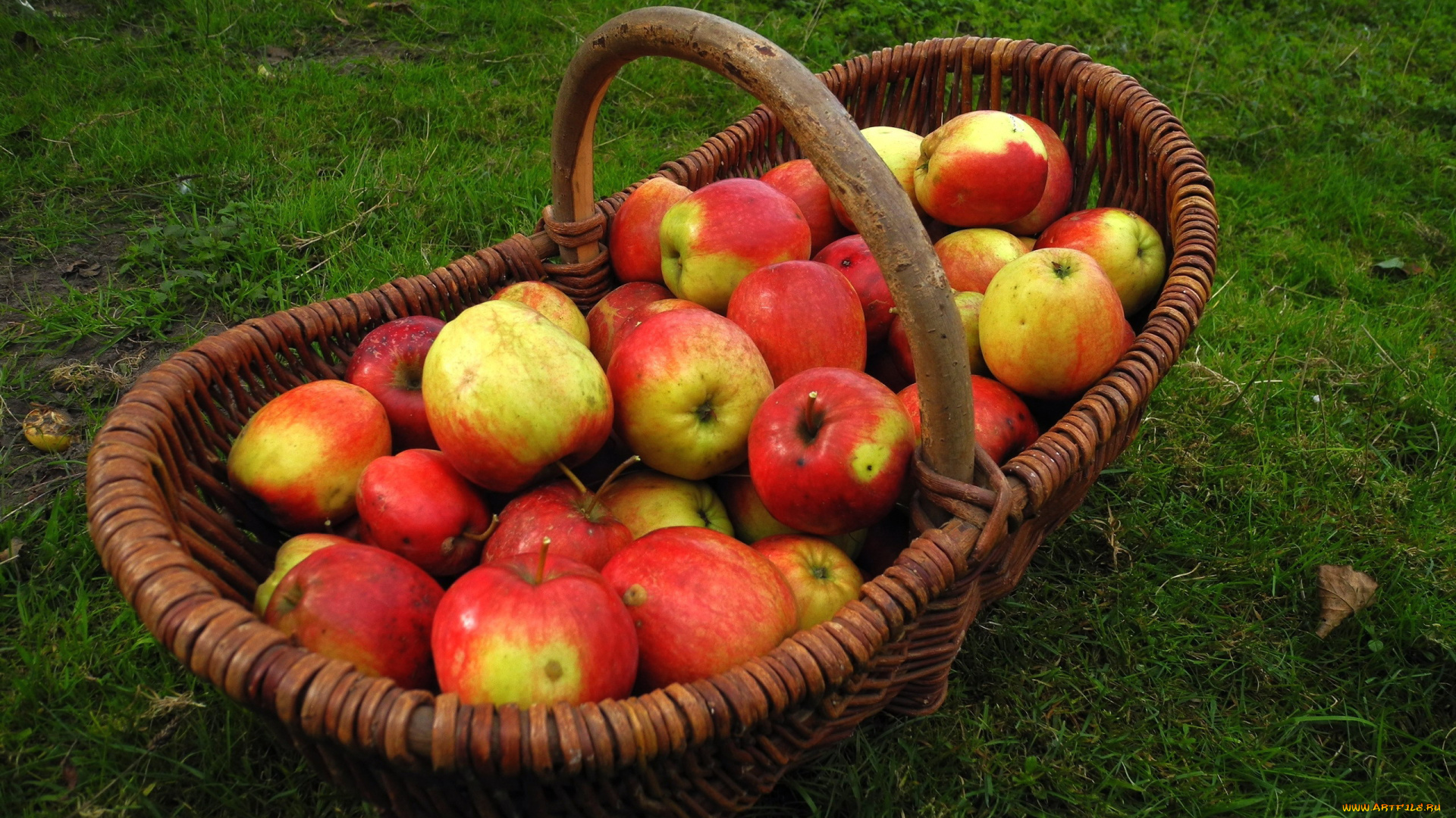 еда, Яблоки, урожай, осень, корзина, яблоки