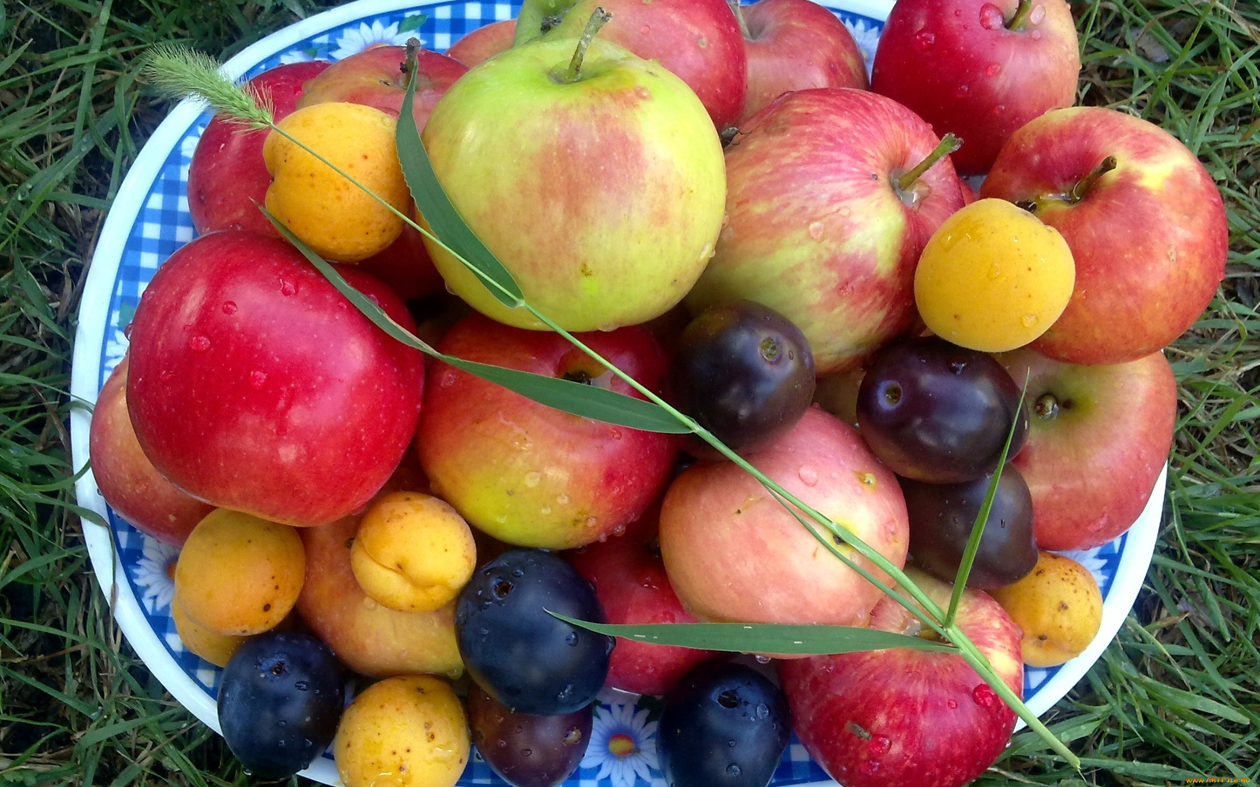 еда, фрукты, , ягоды, абрикосы, сливы, яблоки
