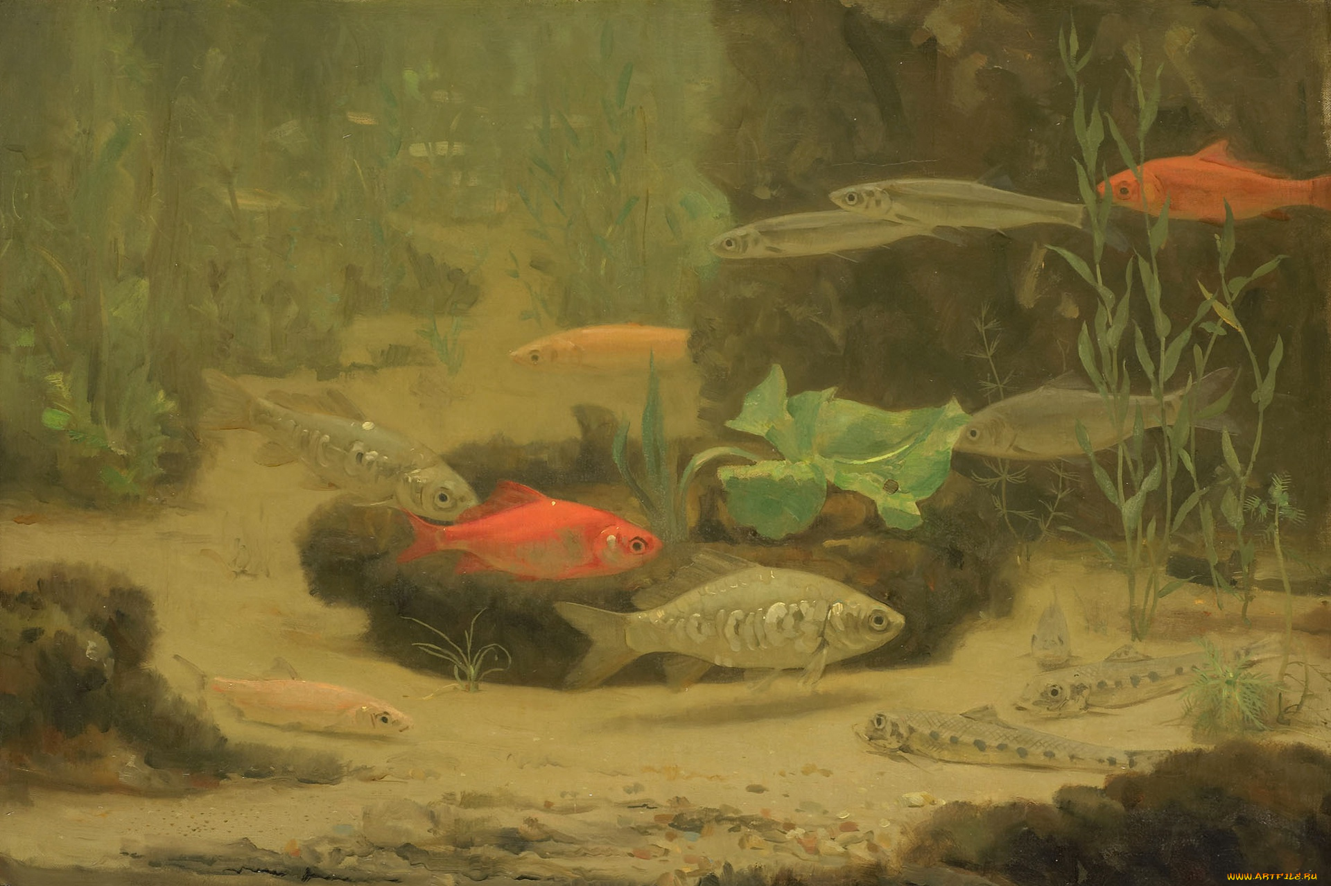 рисованное, живопись, аквариум, рыбки