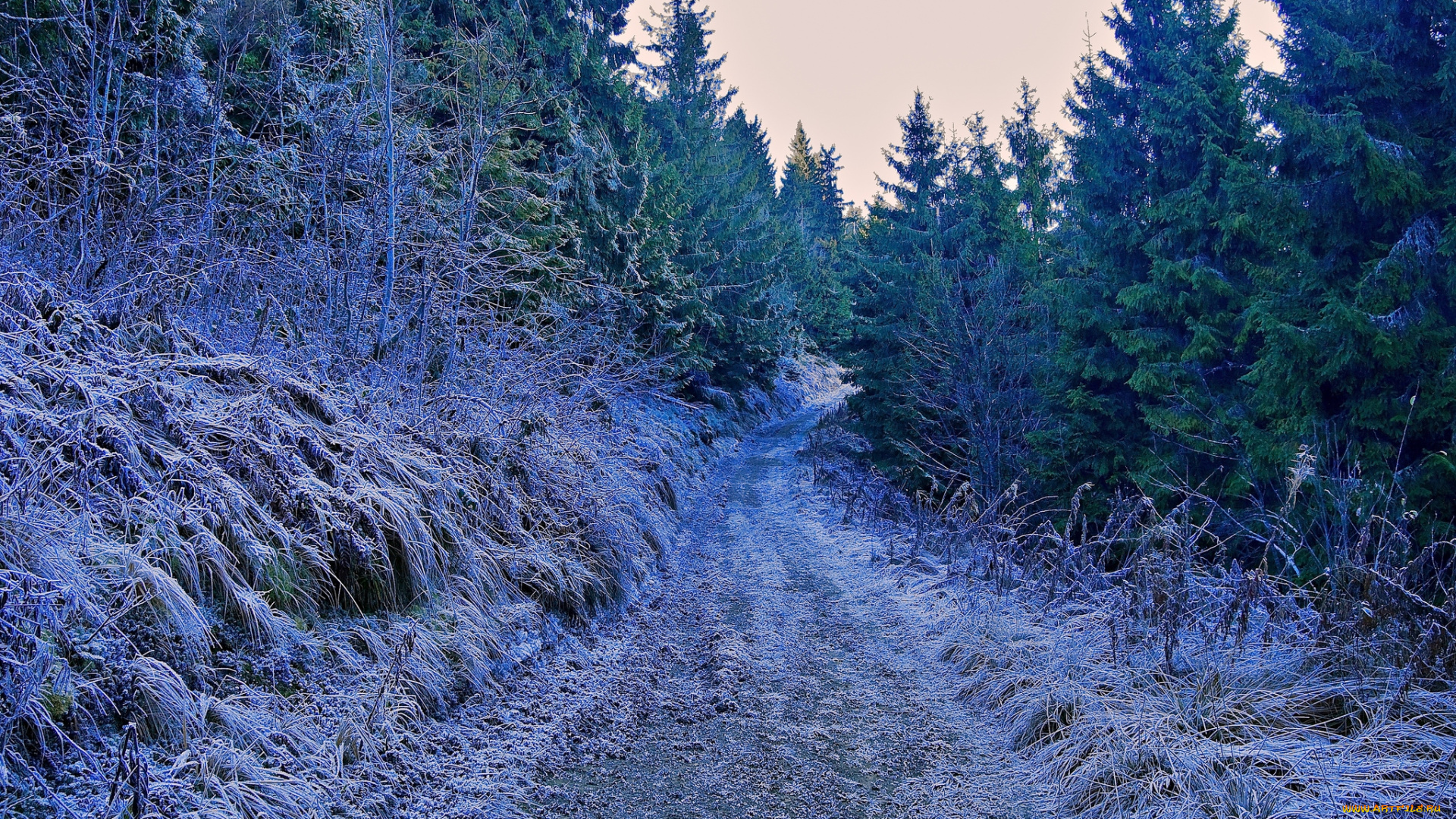 природа, зима, дорога, снег, вечер, деревья