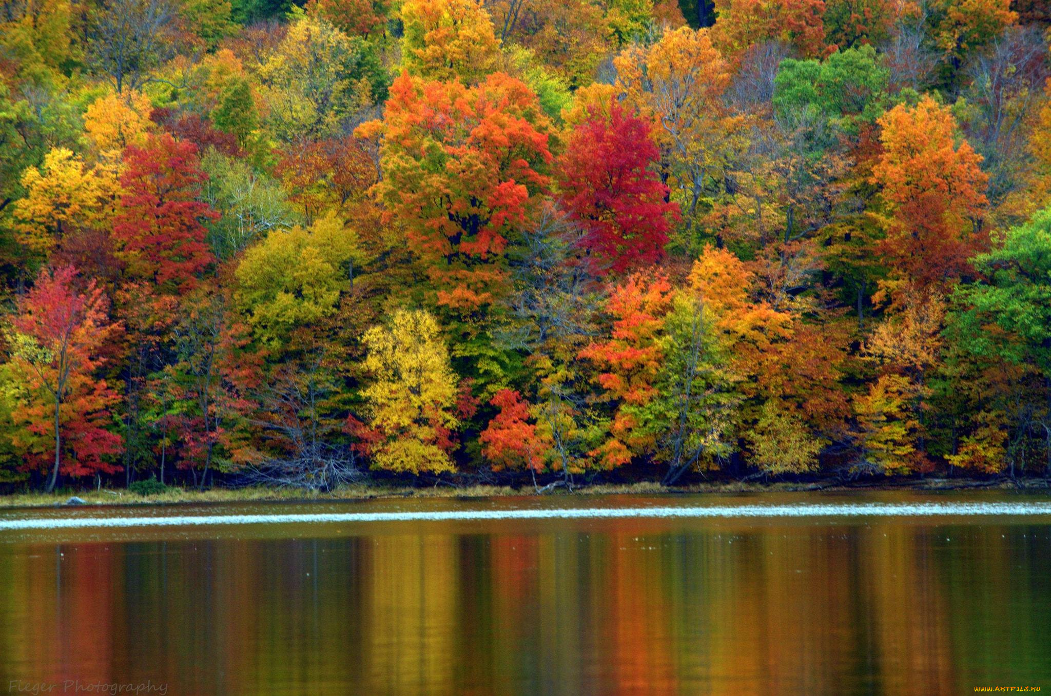 природа, реки, озера, река, лес, деревья, осень