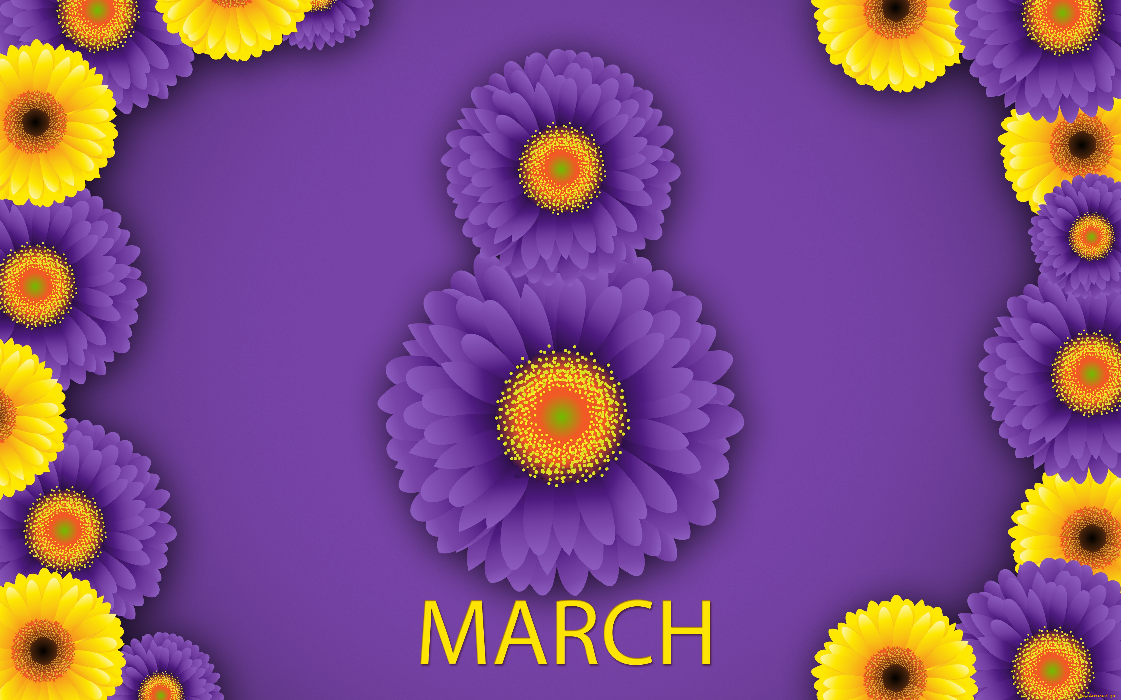 8, марта, праздничные, международный, женский, день, -, 8, марта, 8, марта, открытка, цветы, весна, счастливый, женский, день, фиолетовый, фон, хризантемы