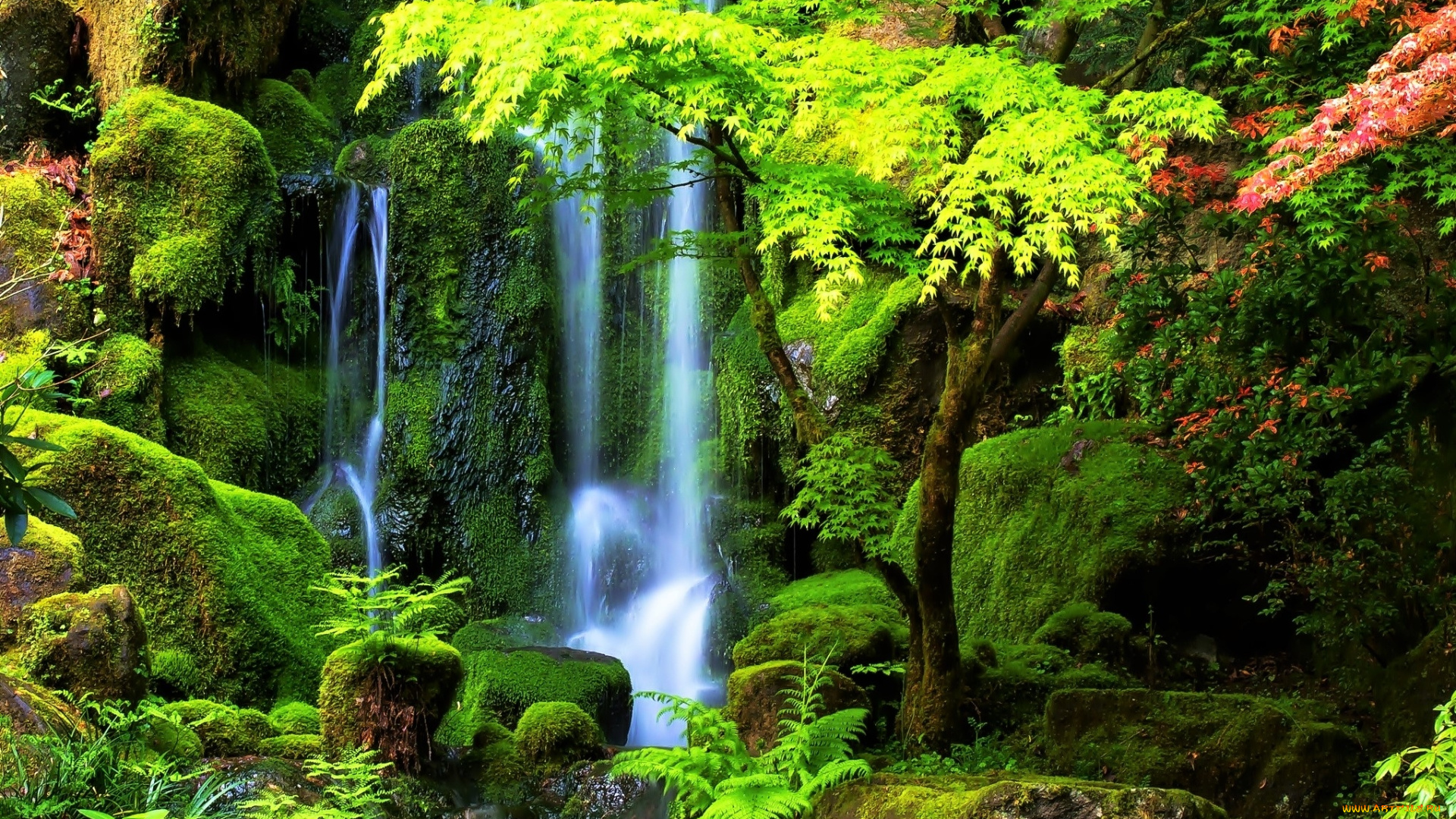 природа, водопады, водопад, деревья, скала