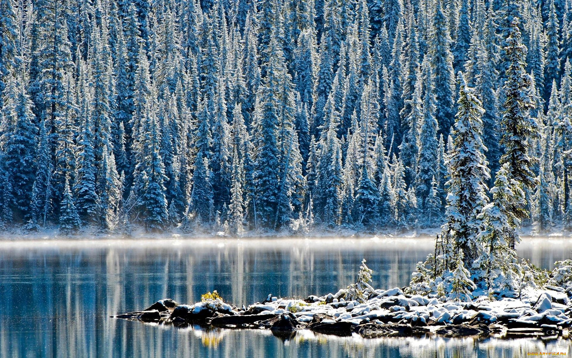 природа, реки, озера, остров, снег, ели, деревья, лес, озеро