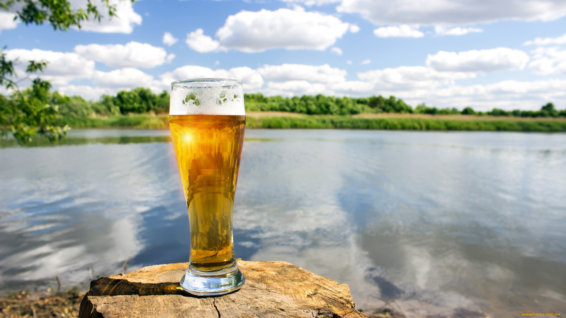 еда, напитки, , пиво, пейзаж, стакан, пень, берег, боке, зелень, настроение, облака, лето, солнце, небо, река, пиво