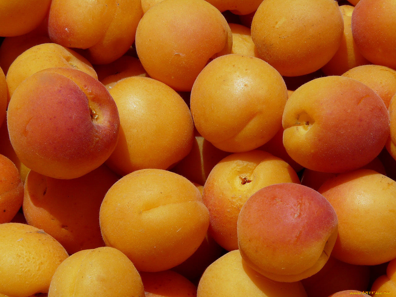 еда, персики, сливы, абрикосы