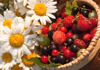 обоя еда, фрукты,  ягоды, клубника, малина, ромашки, крыжовник, смородина