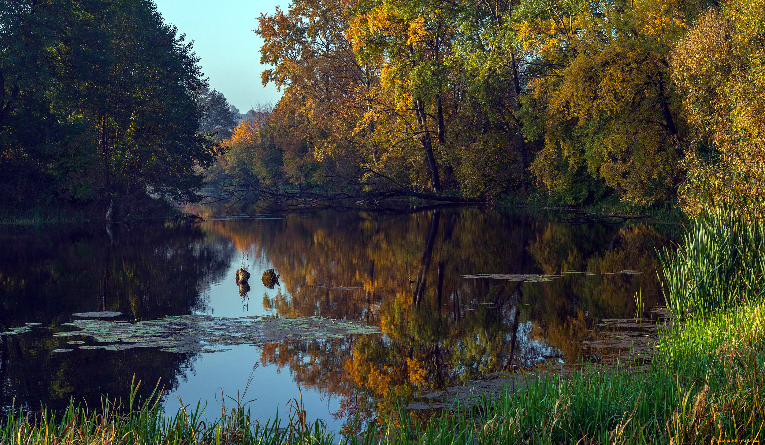 природа, реки, озера, отражение, пруд, осень