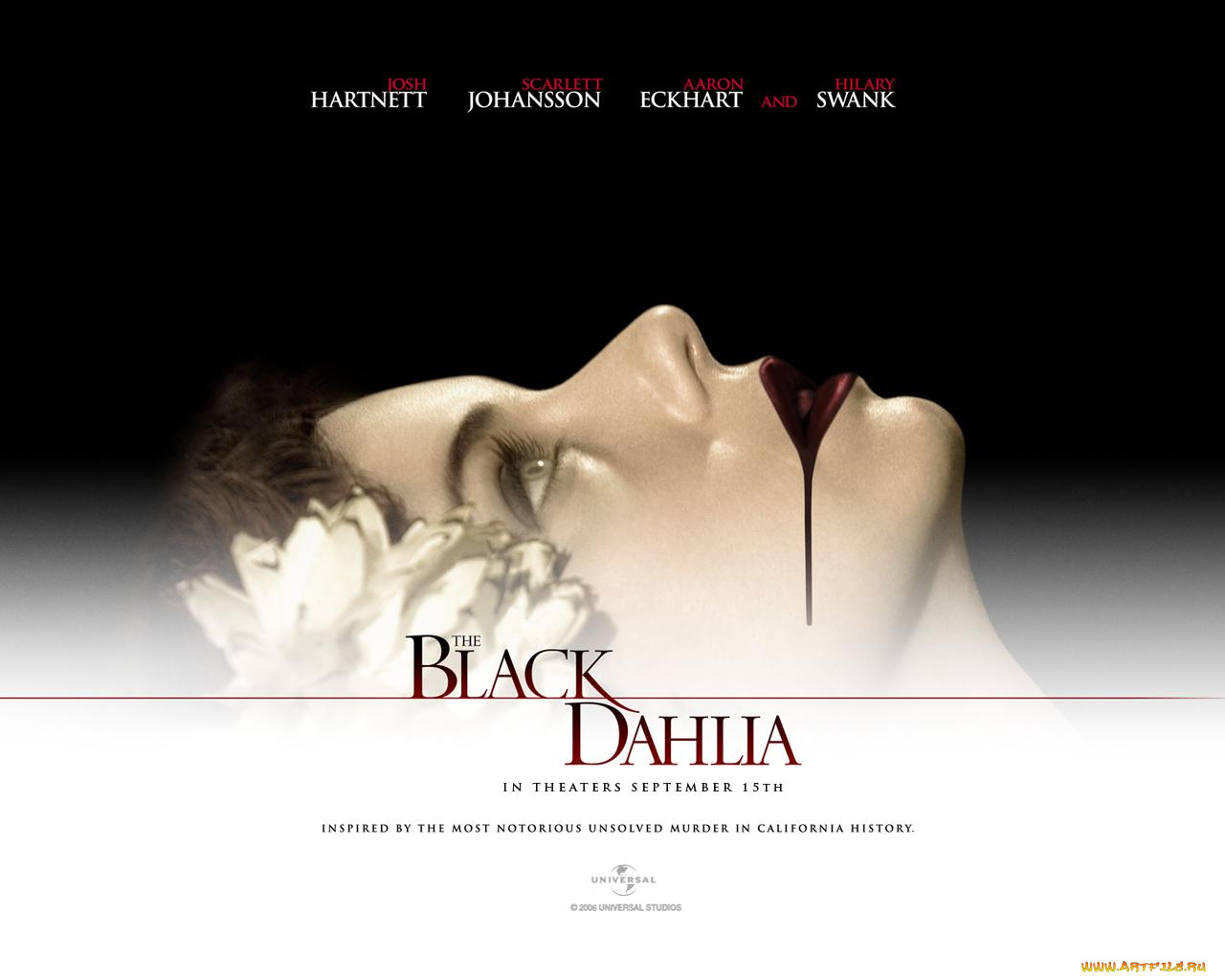 the, black, dahlia, кино, фильмы