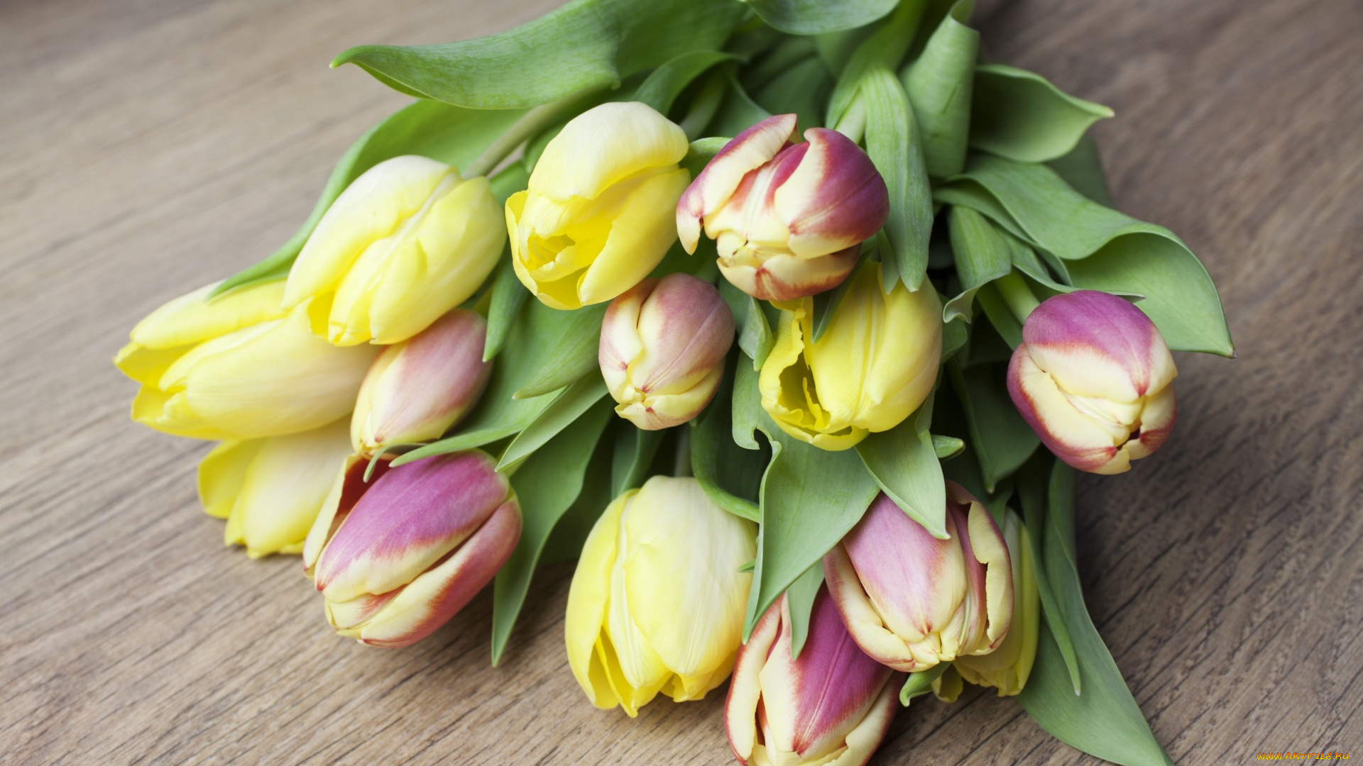 цветы, букеты, , композиции, bouquet, flowers, тюльпаны, tulips
