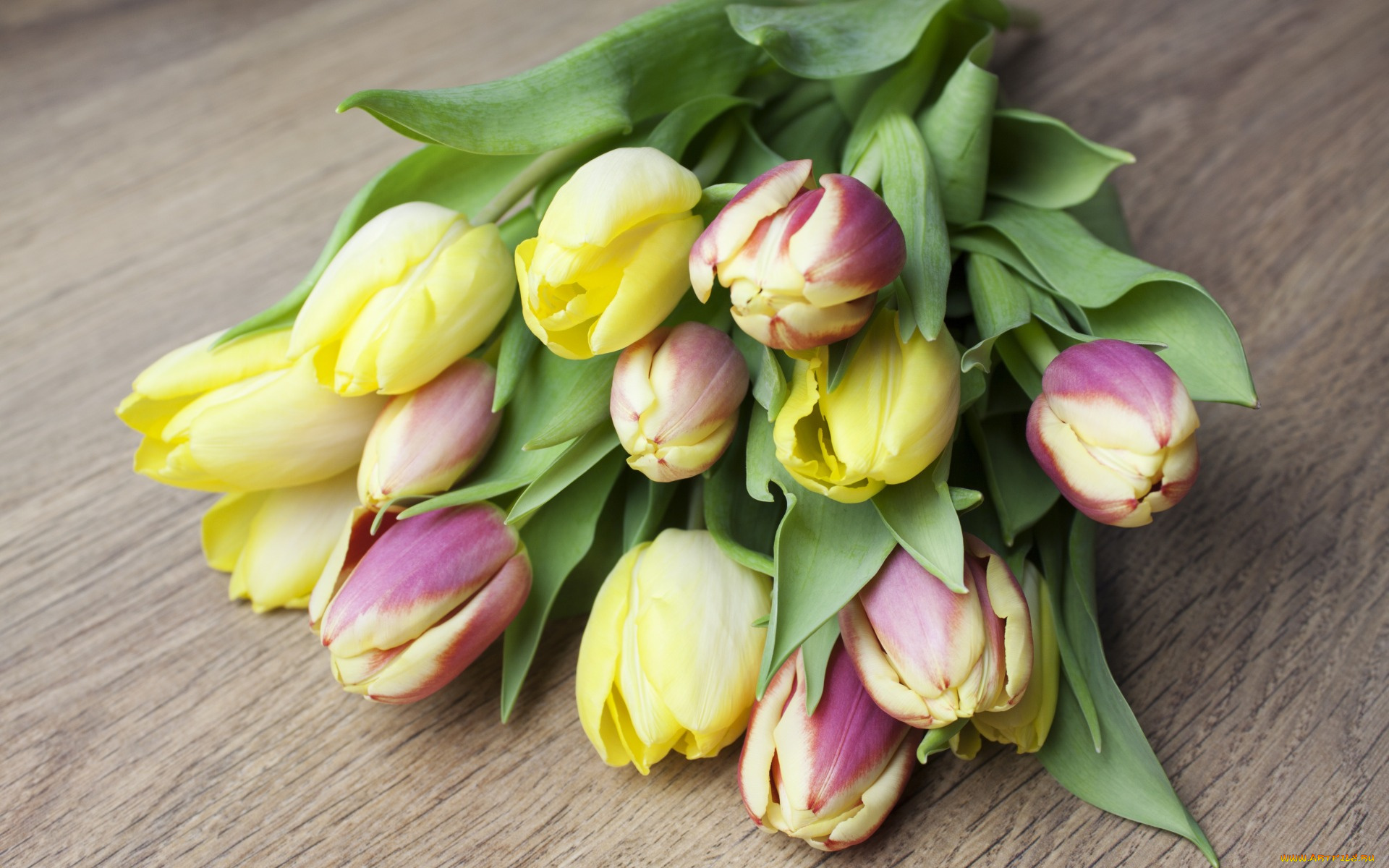 цветы, букеты, , композиции, bouquet, flowers, тюльпаны, tulips