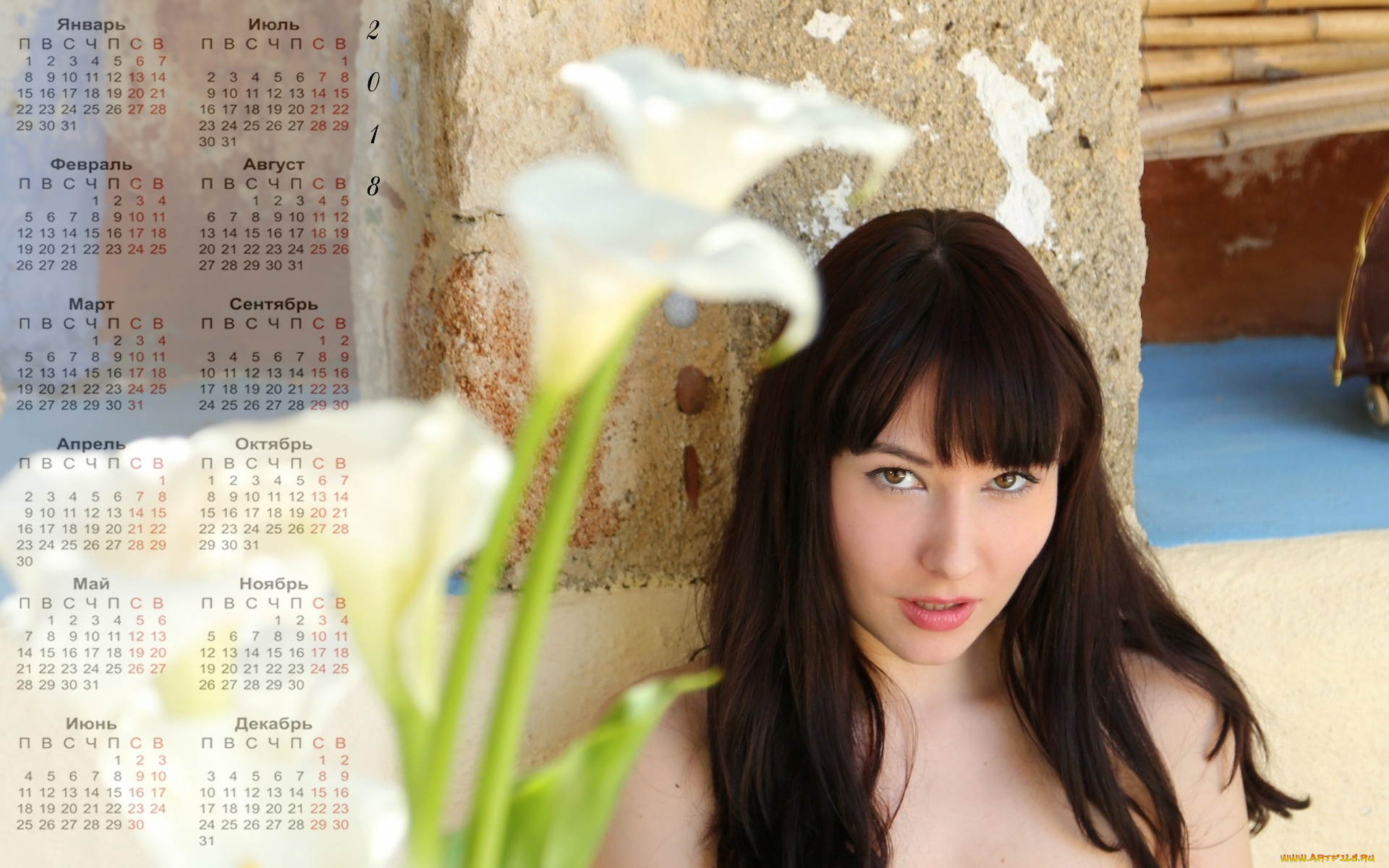 календари, девушки, цветы, лицо, взгляд