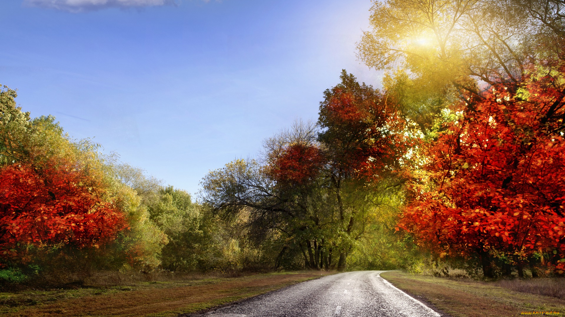 природа, дороги, небо, лучи, листья, красочно, осень, пейзаж, дорога