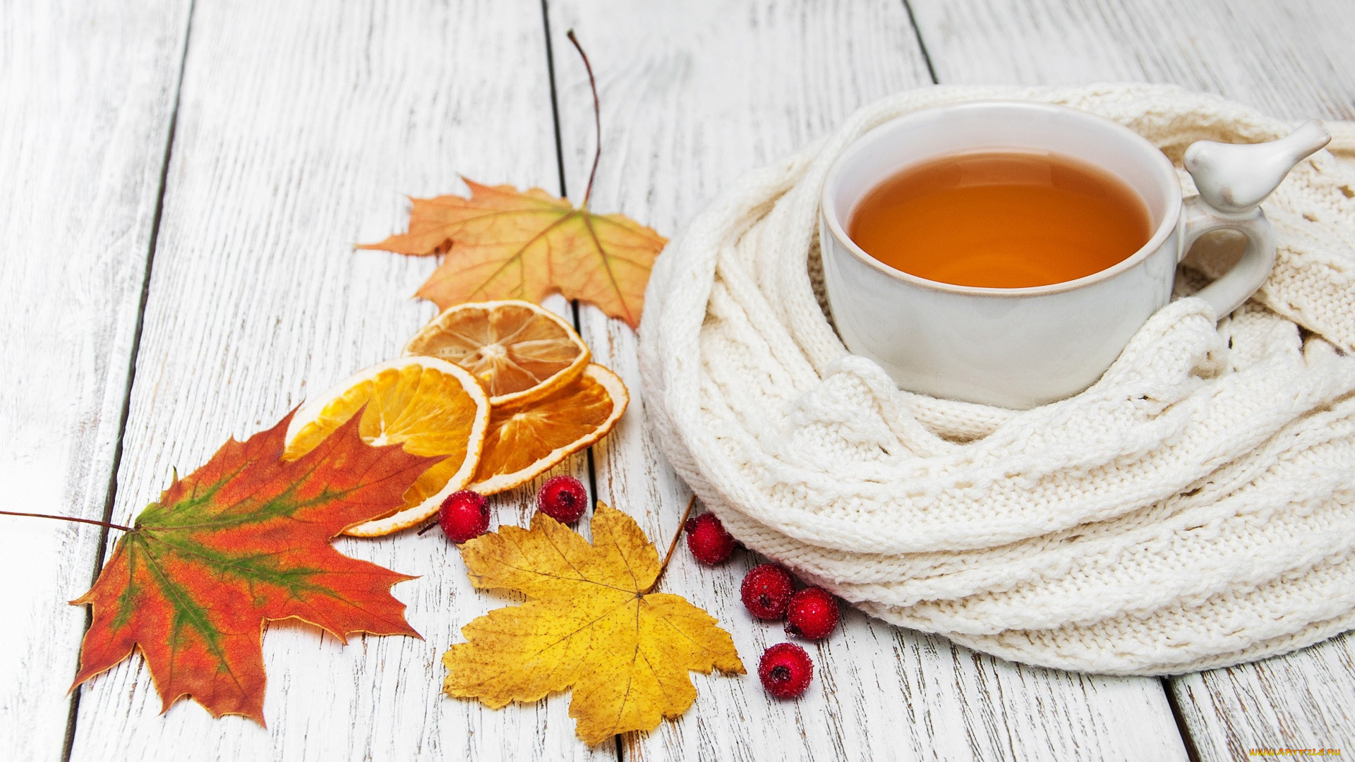 еда, напитки, , чай, шарф, чай, листья, осень
