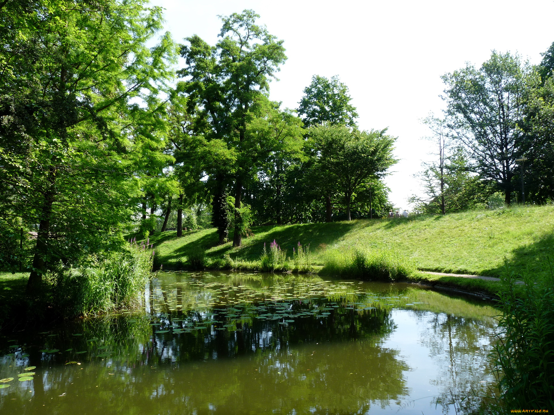 strasbourg, природа, парк, водоем, деревья