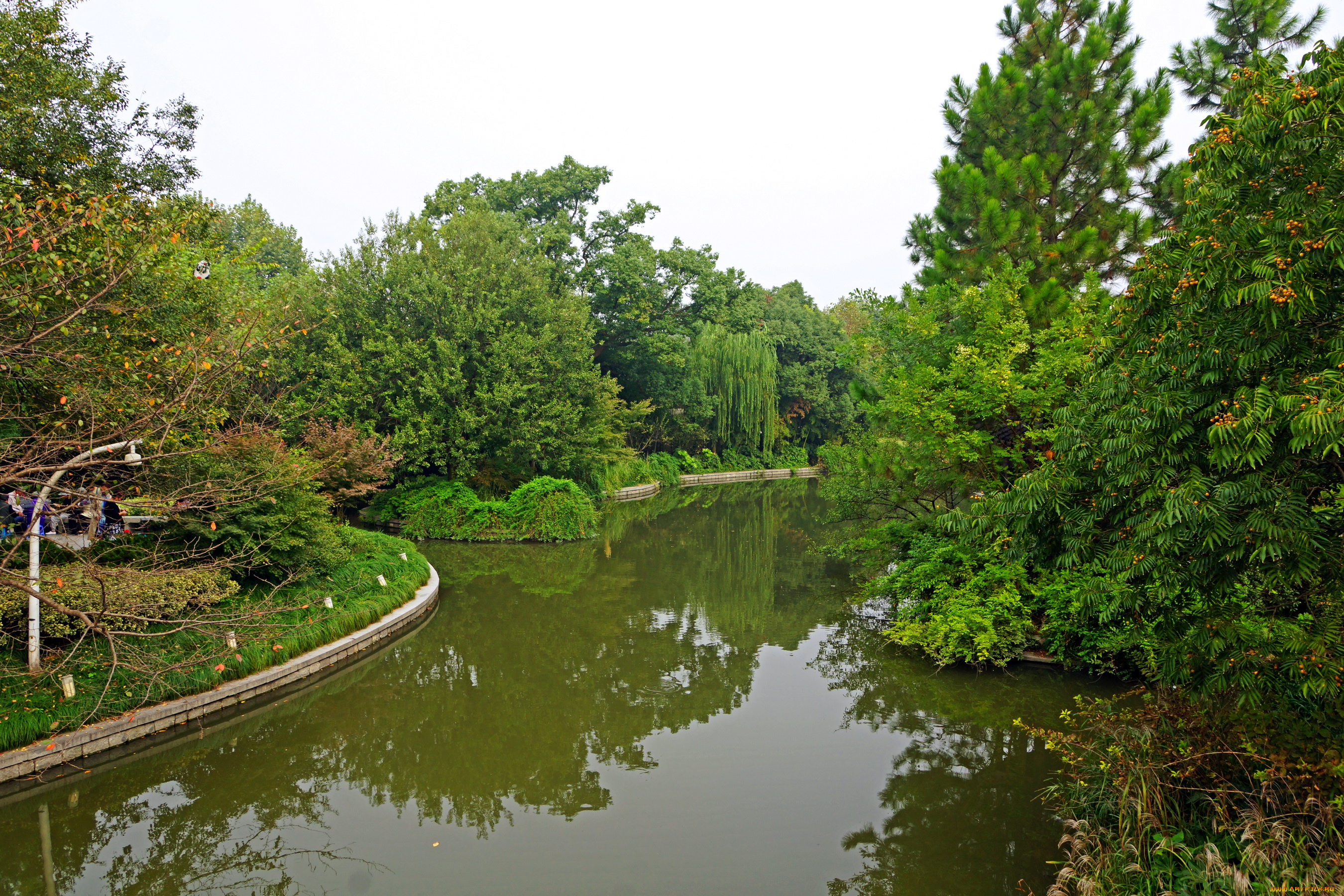 китай, ханьчжоу, природа, парк, водоем, деревья