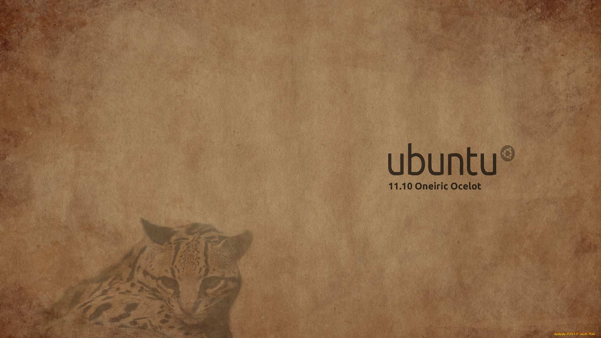 компьютеры, ubuntu, linux, кот, фон, логотип