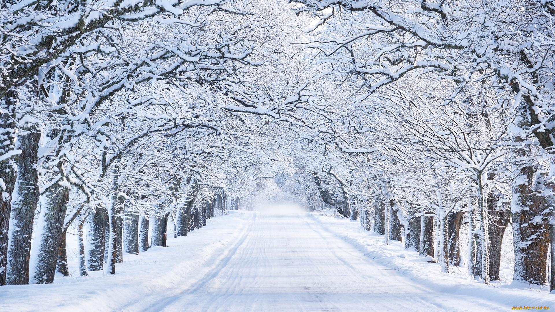 природа, зима, дорога, снег, деревья