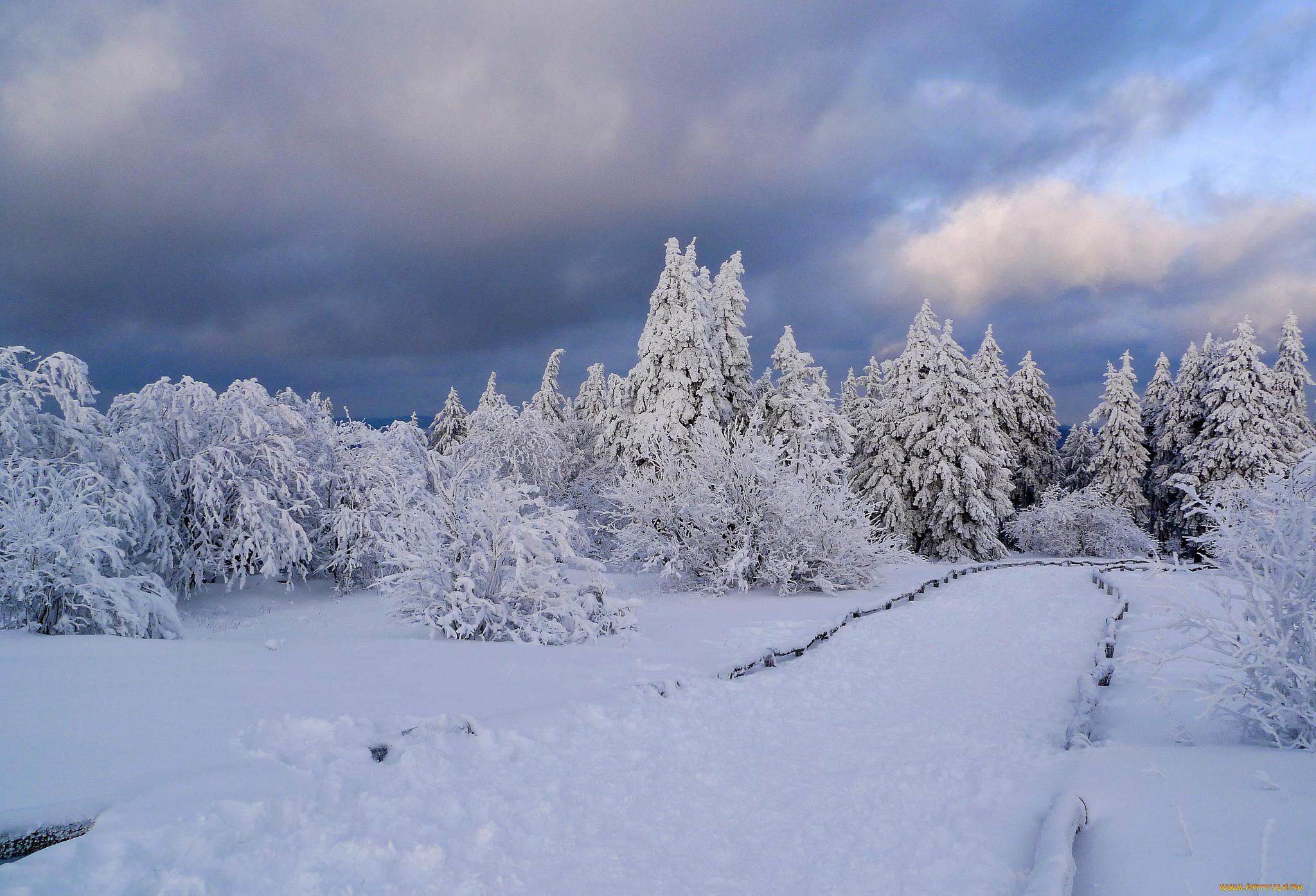 природа, зима, деревья, снег, пейзаж, дорога